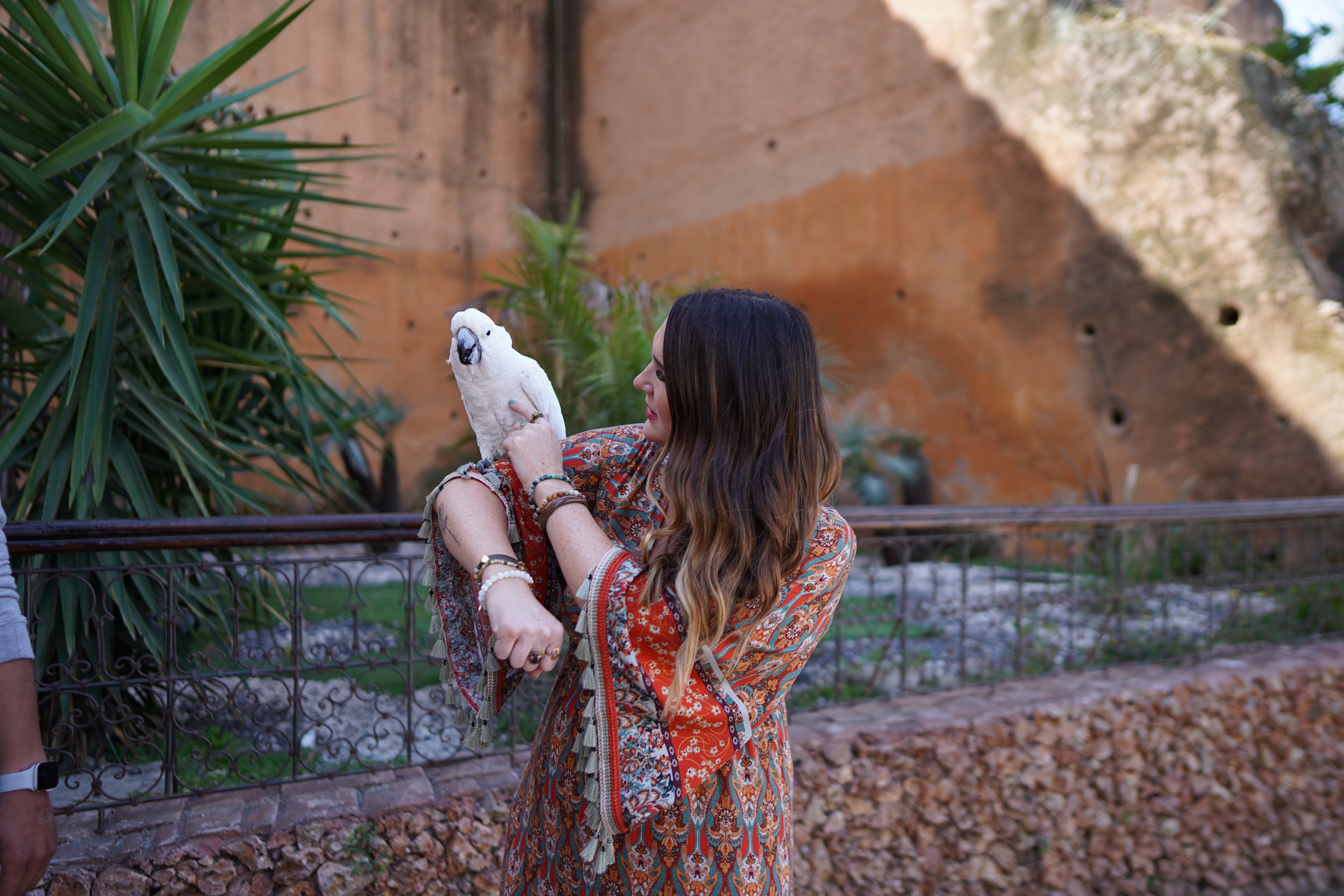 Laura Ericson holds a Moroccan Cockatoo