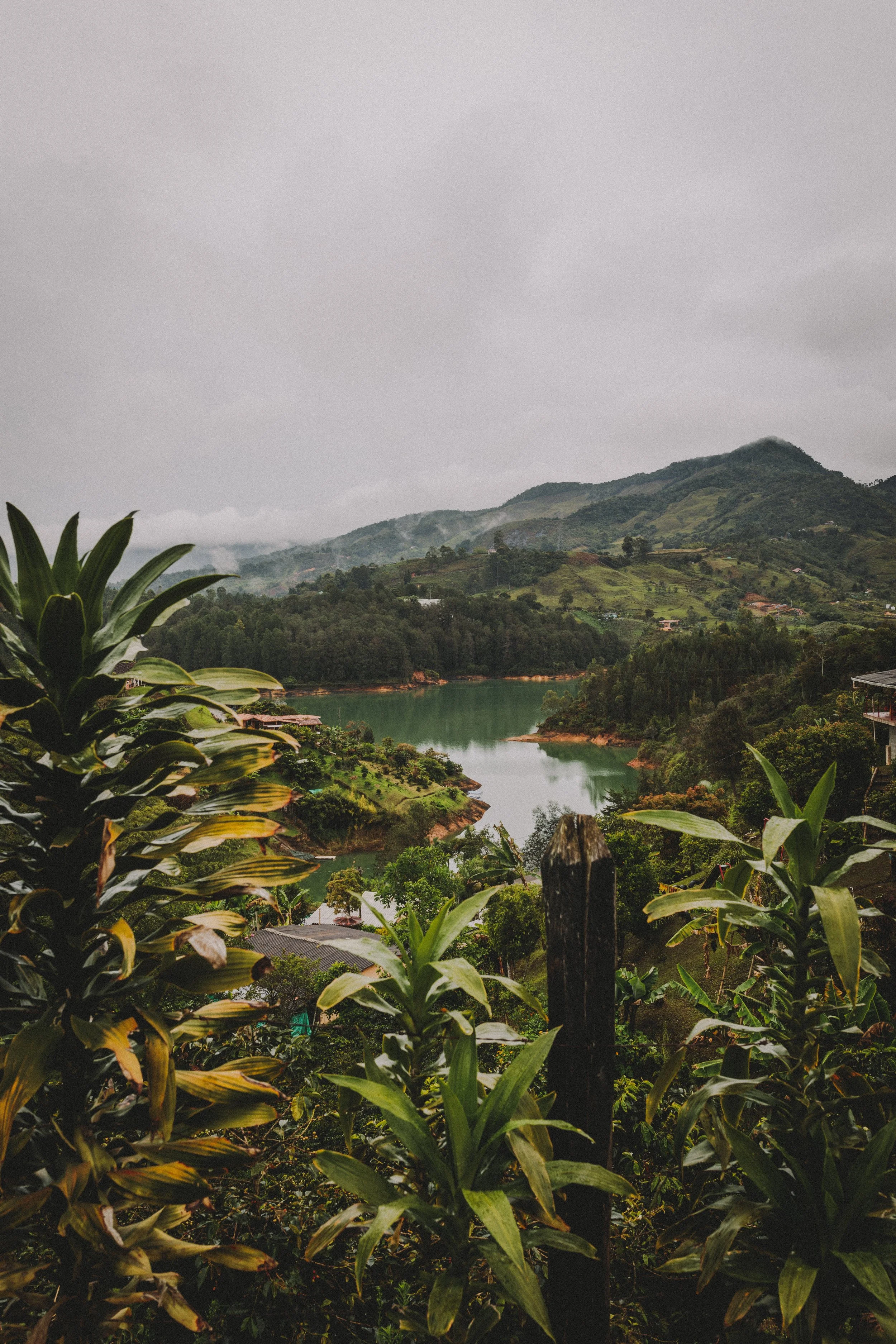 JessicaChristiePhotography-Colombia2021-LauraEricsonGroupTrips-381.jpg