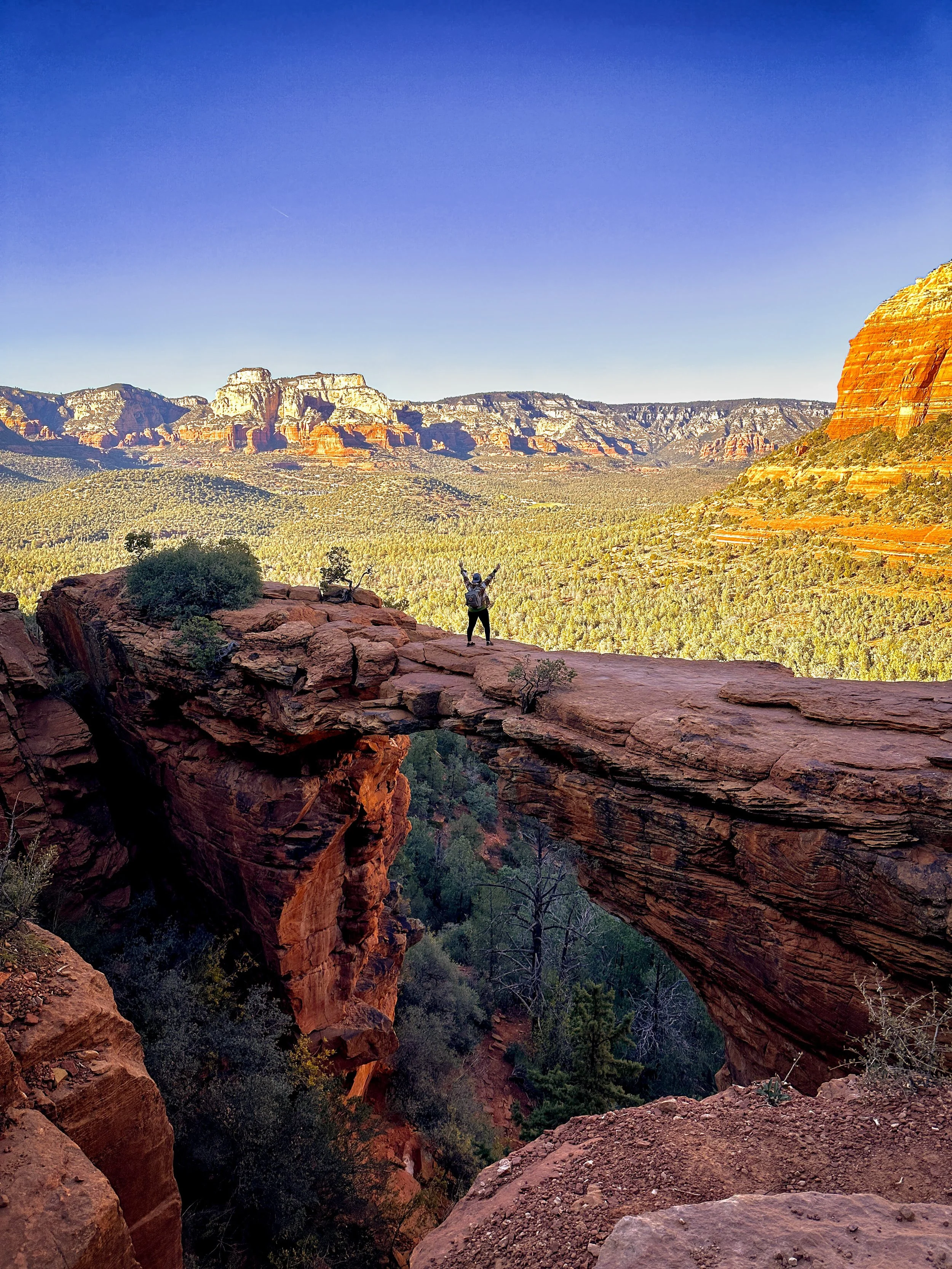 Person standing on a natural rock arch overlooking a canyon with layered red and orange cliffs and green vegetation beneath a clear blue sky