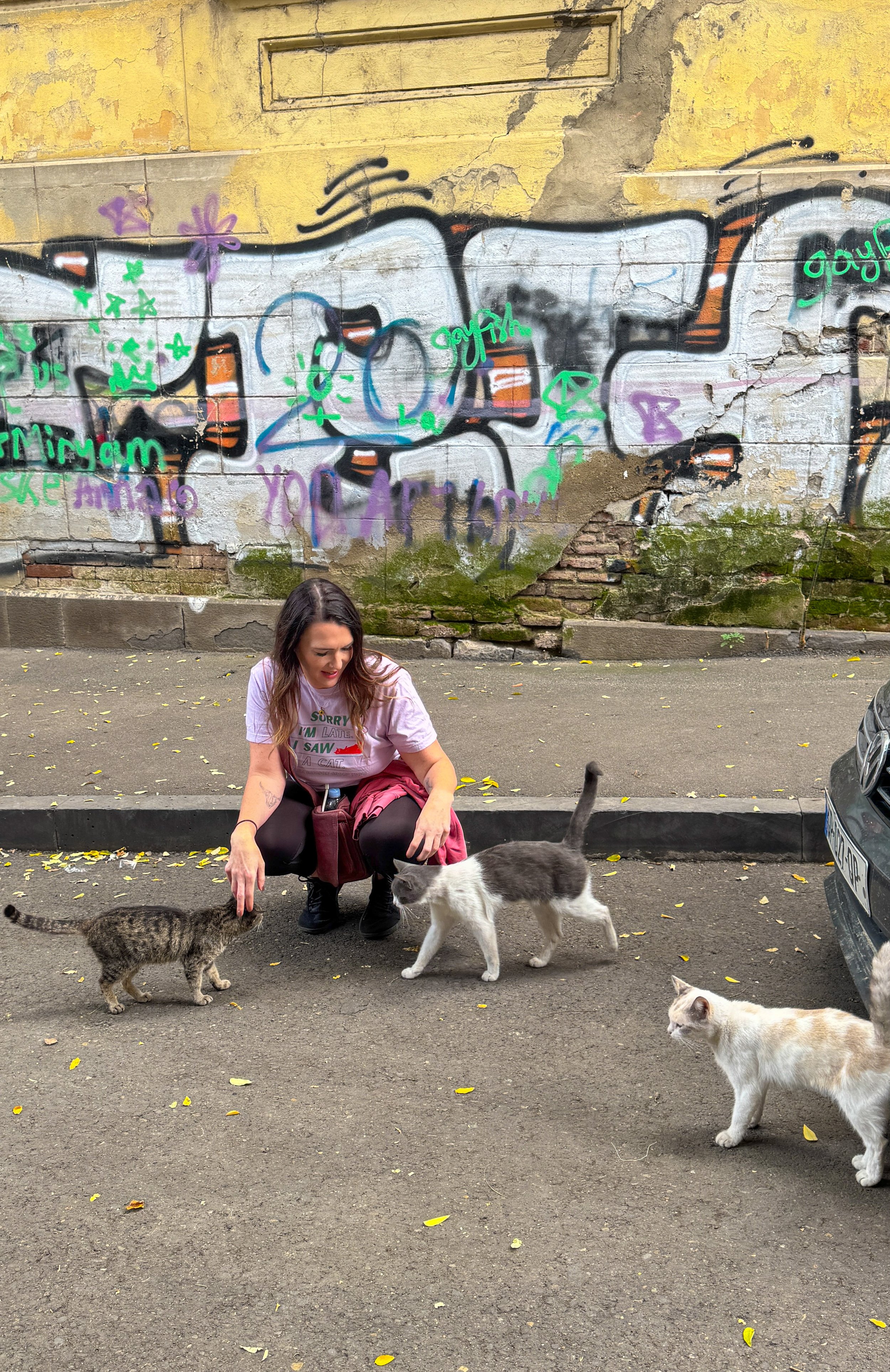 Laura Ericson wearing her "Sorry I'm Late I Saw a Cat" t-shirt, crouching down to greet three street cats in front of a graffiti-covered wall