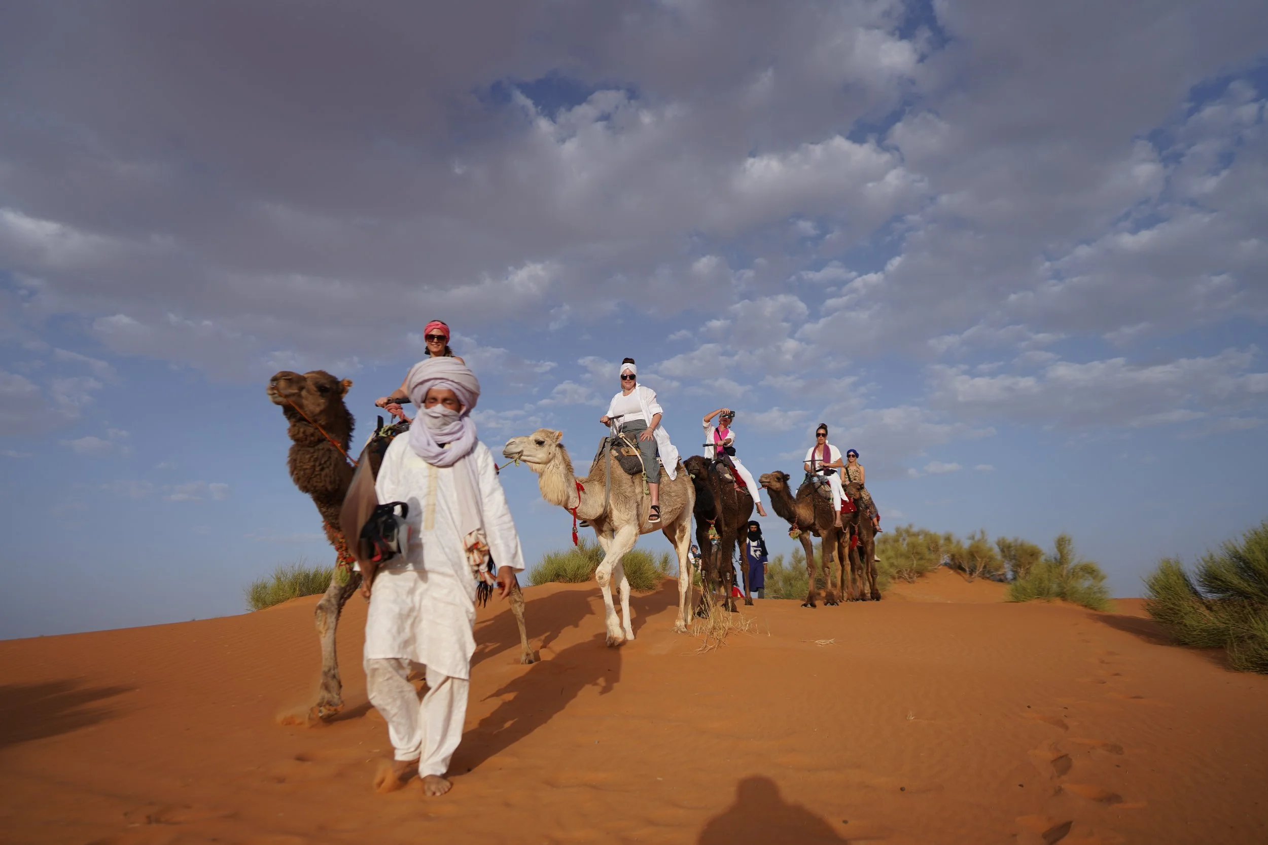 Camels Carry Tourists Through Moroccan Desert