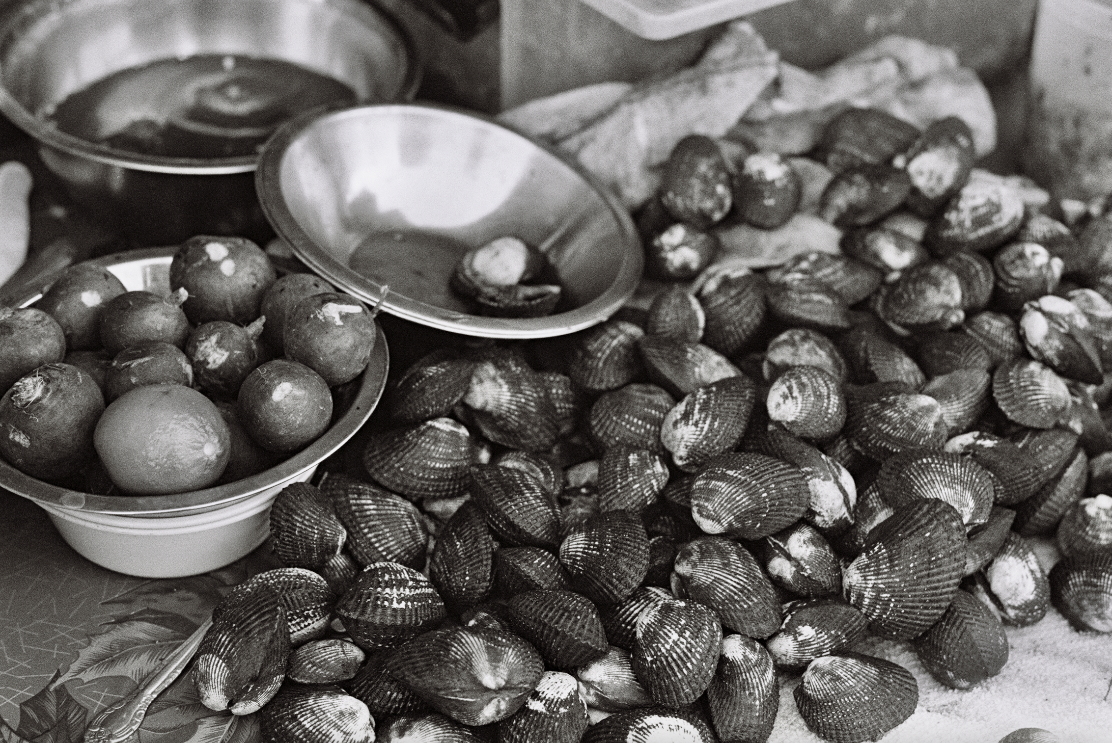 Screen Shot 2022-01-17 at 1.14.28 PM.png