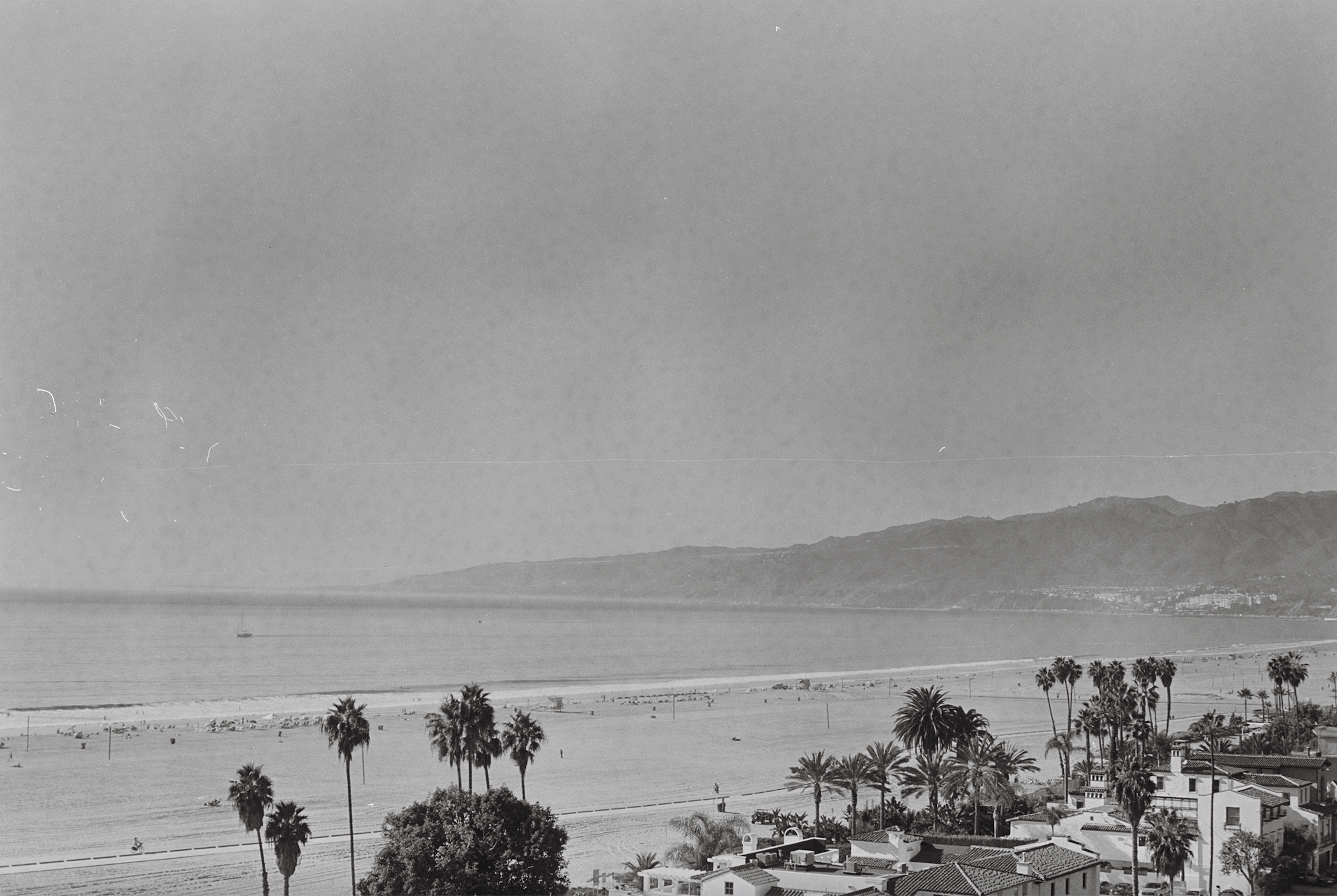 Screen Shot 2021-12-14 at 7.00.22 PM.png