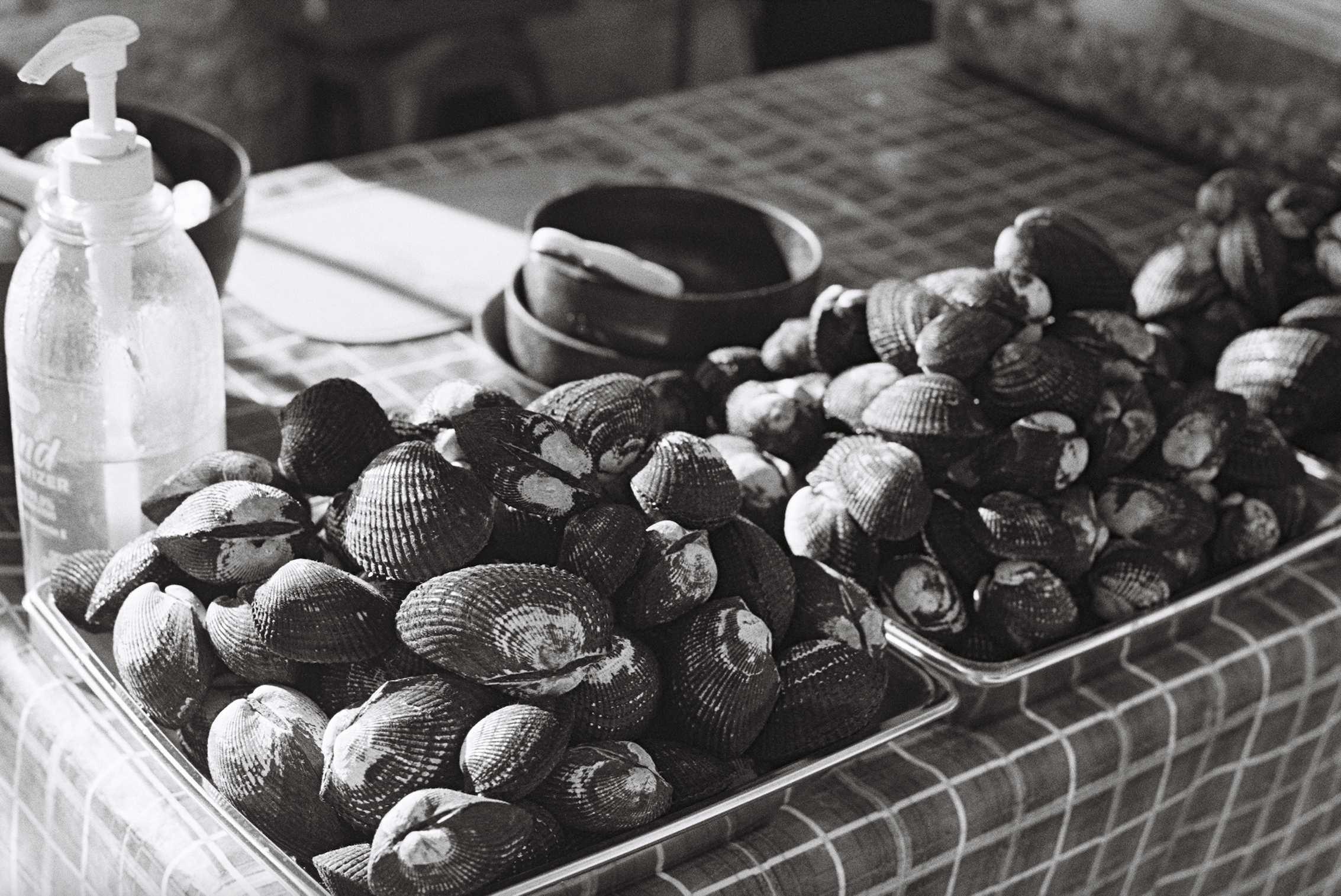 Screen Shot 2022-01-17 at 1.10.53 PM.png