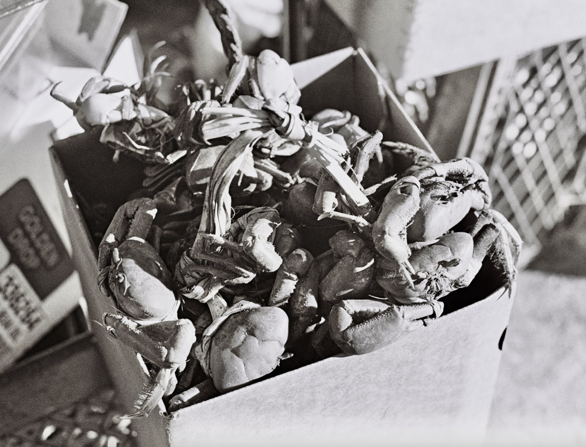 Screen Shot 2022-01-17 at 1.22.03 PM.png