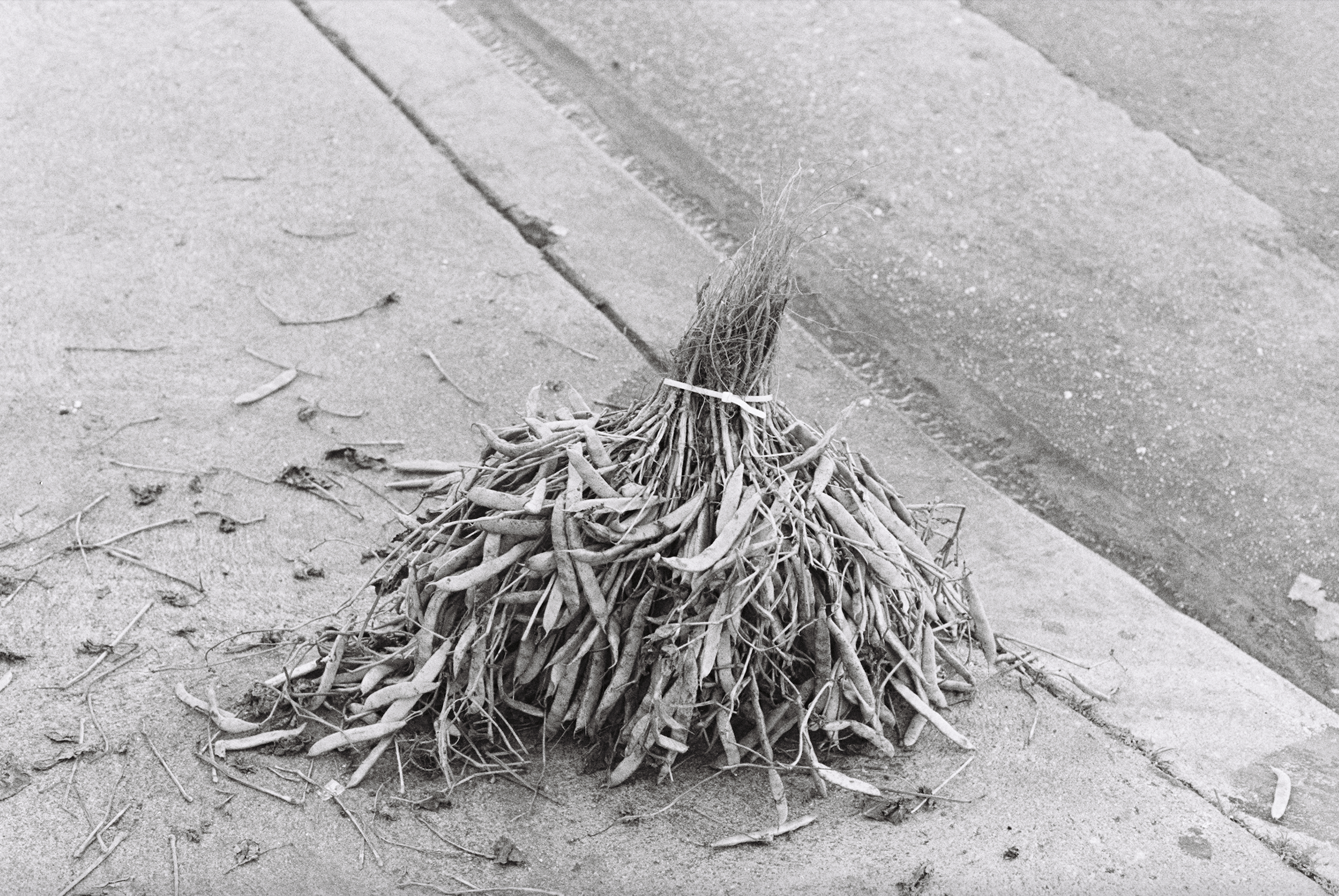 Screen Shot 2022-01-17 at 1.20.28 PM.png