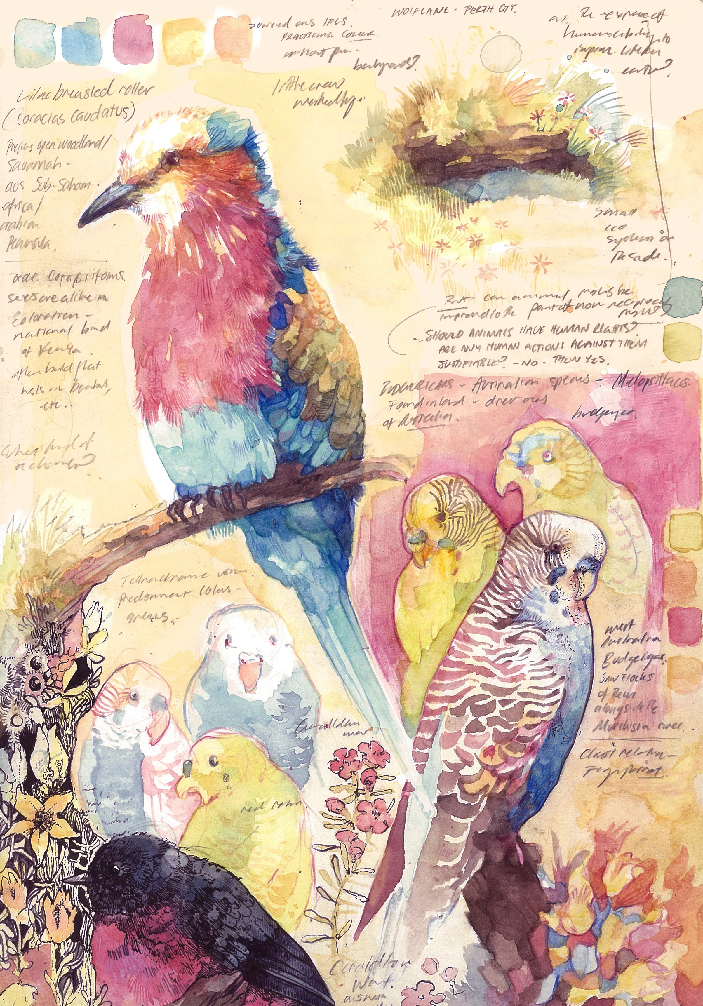 Sketchbookpage1.jpg