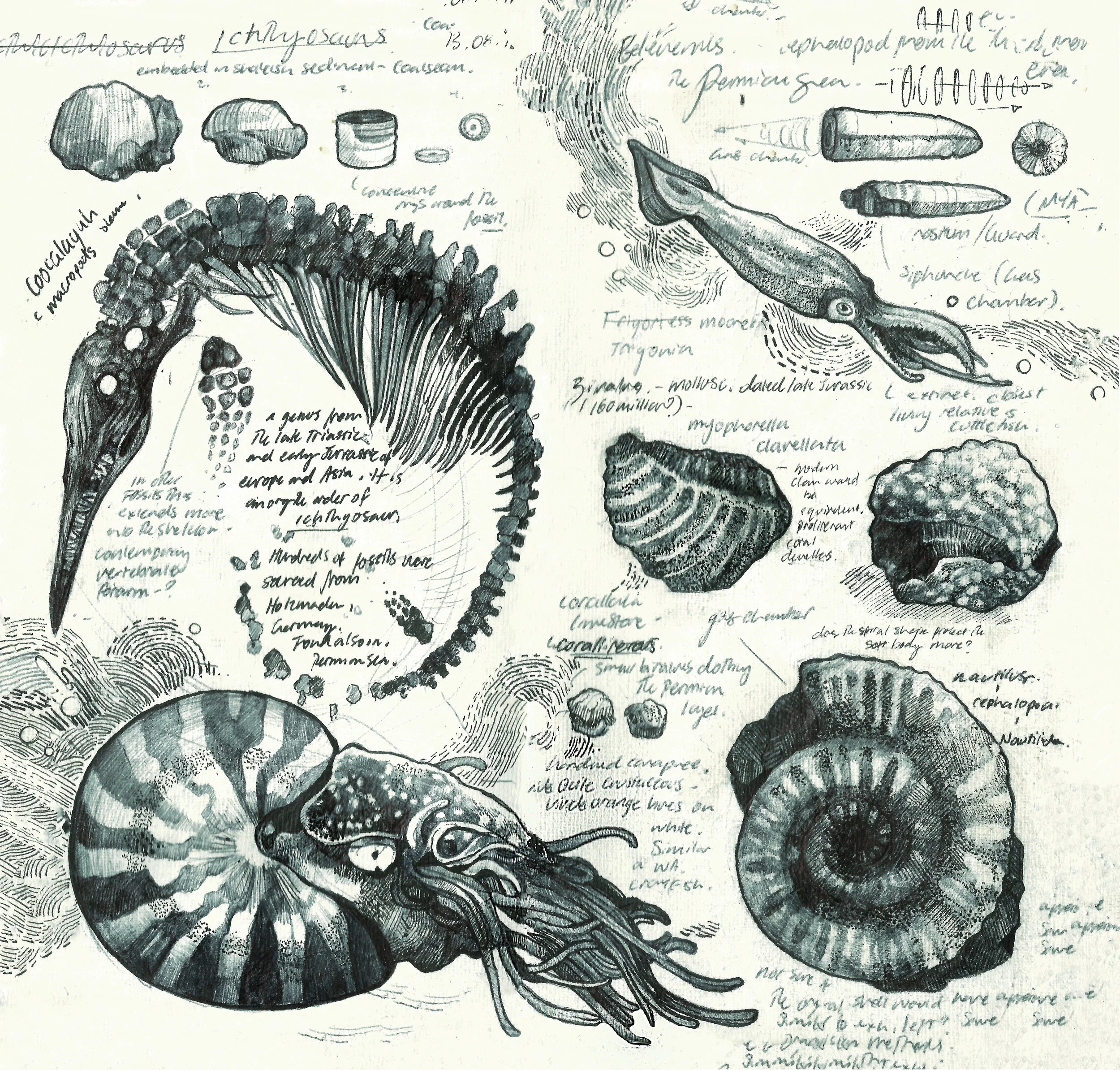 Internet_Fossil sketches.jpg