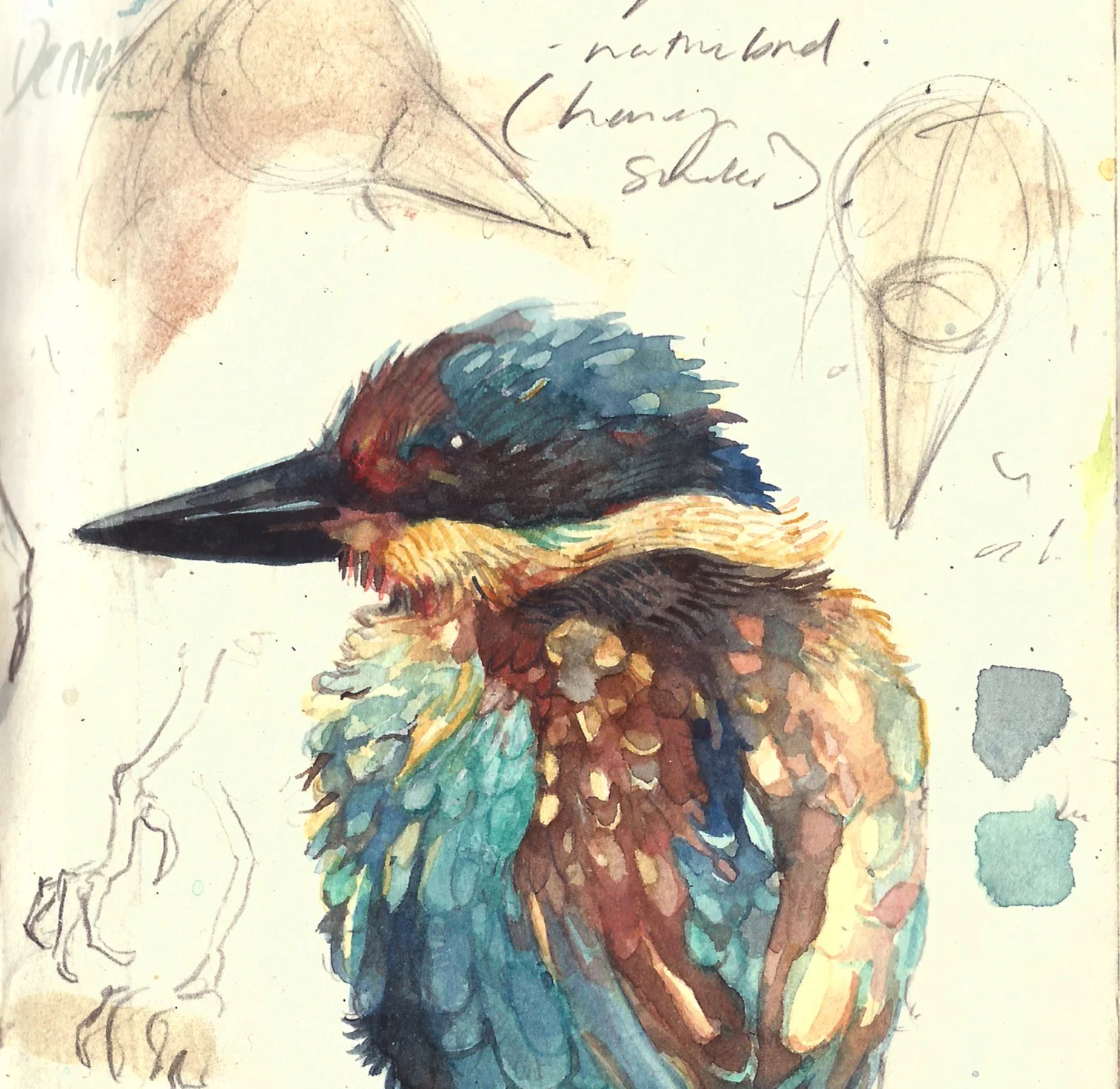 Kingfisher sketch studie22s .jpg