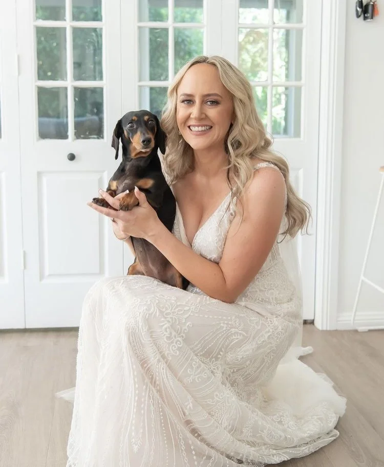 dash hound with bride