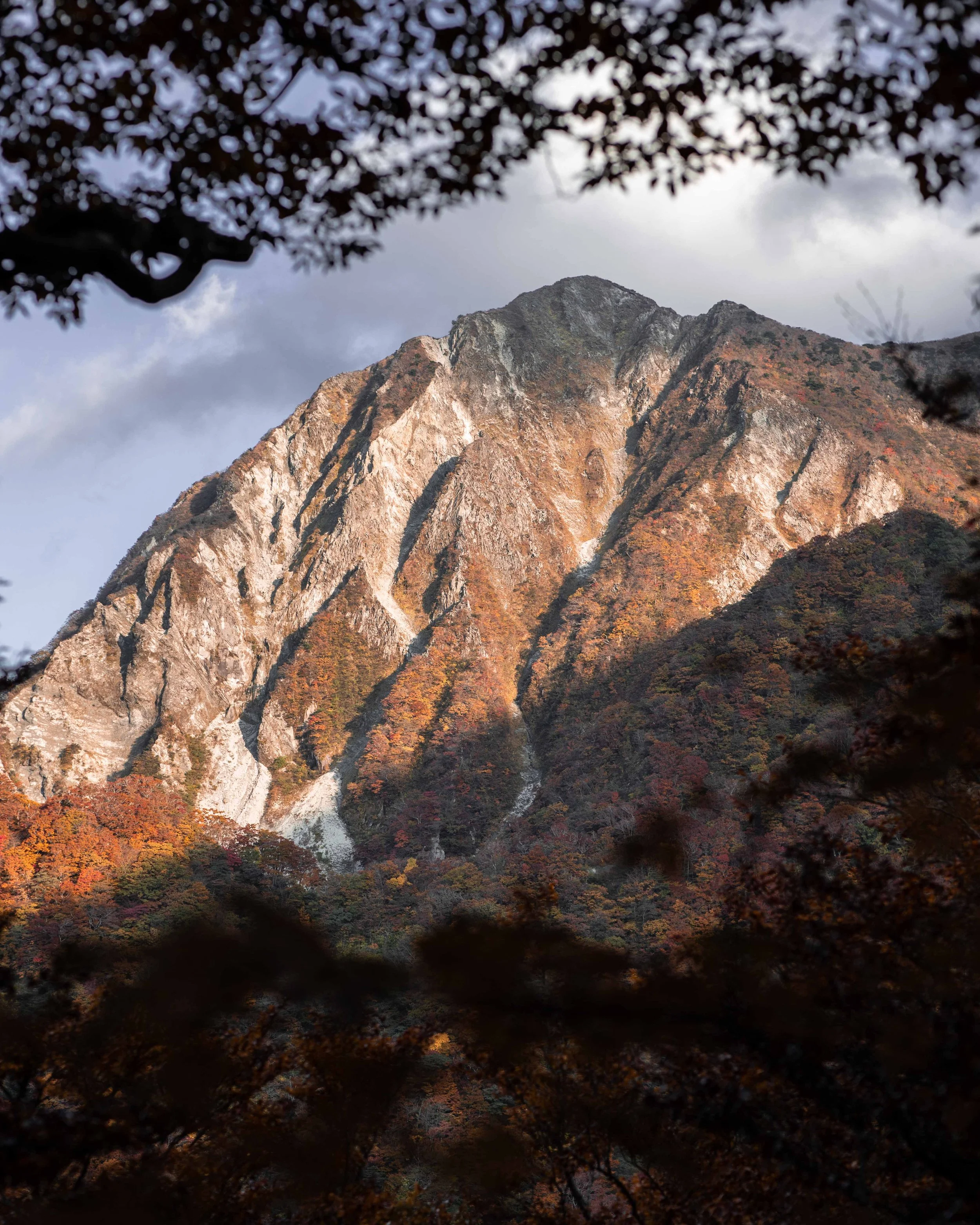 大山｜秋の光に照らされた山の稜線と紅葉