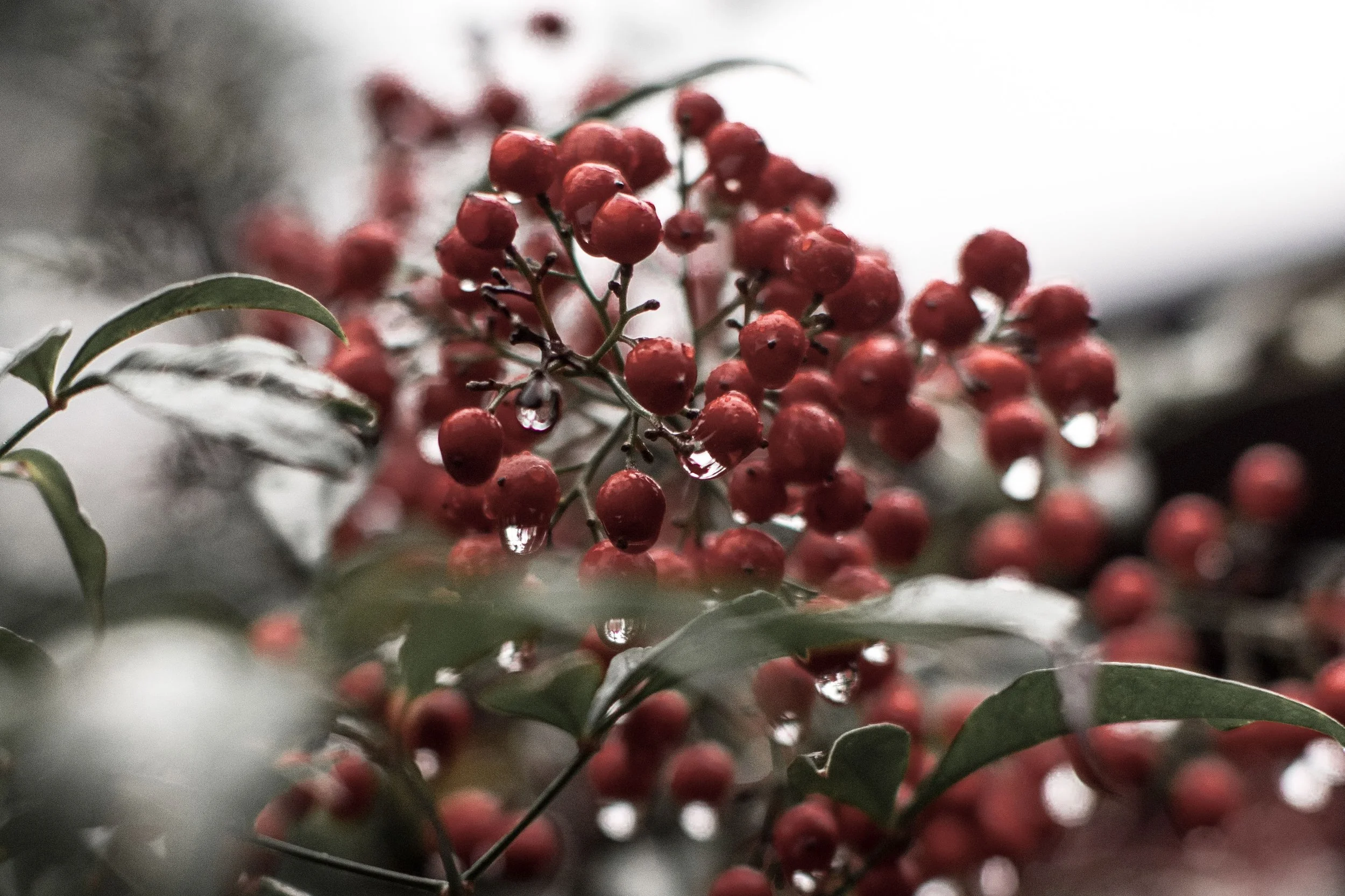 2019.12.17 Random.jpg