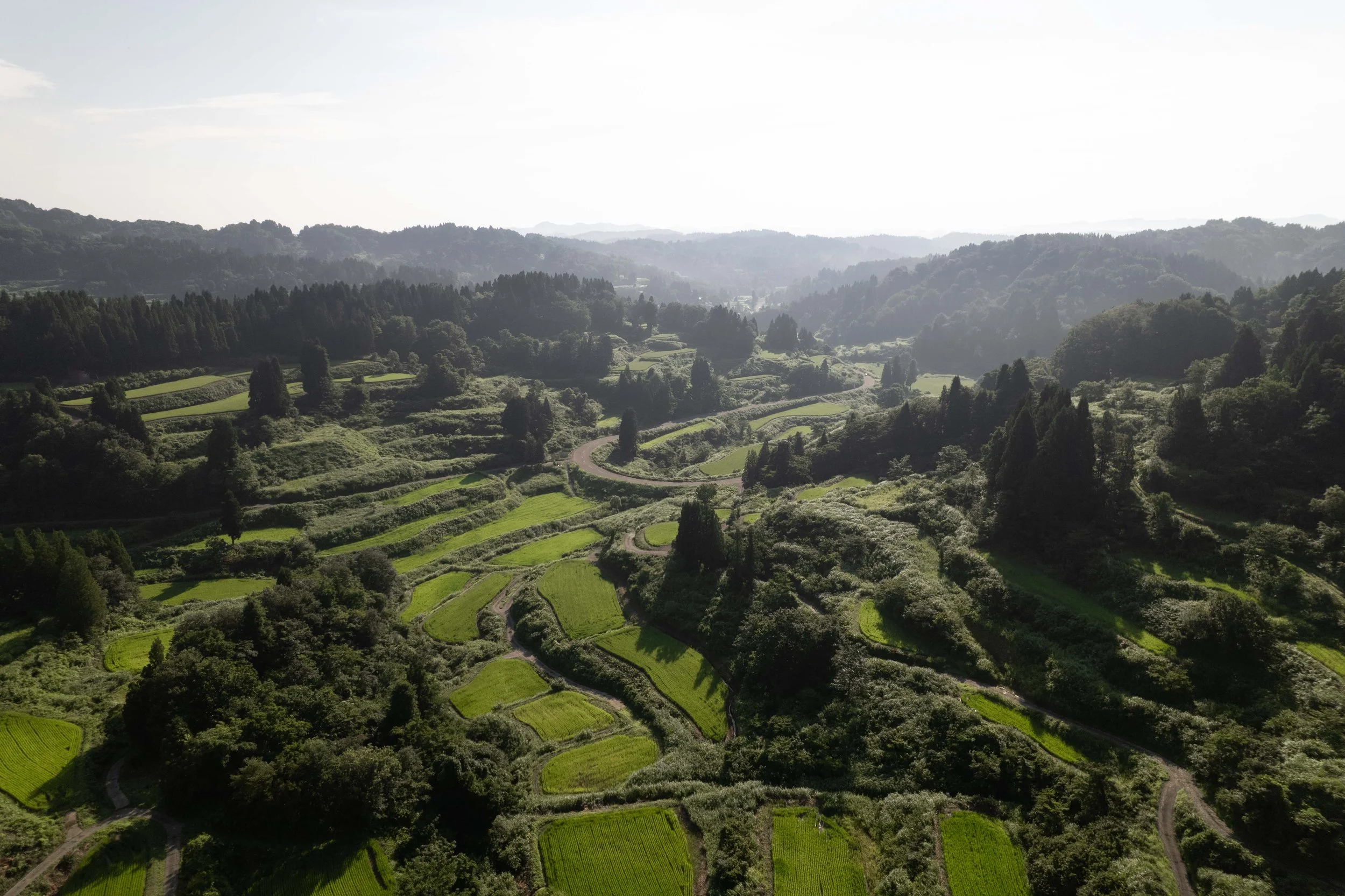 DJI_0241.jpg