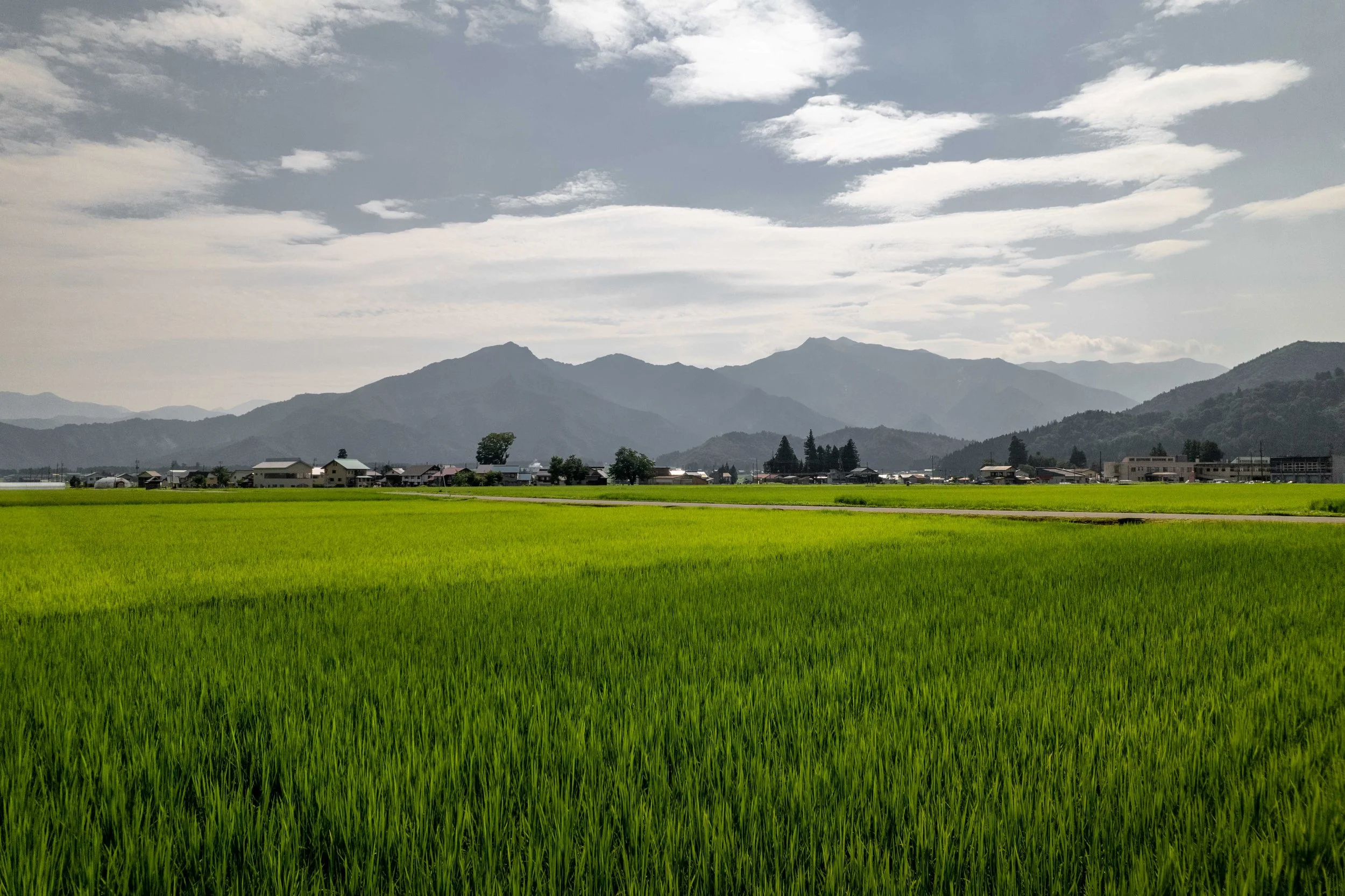 DJI_0265-HDR-Modifier.jpg