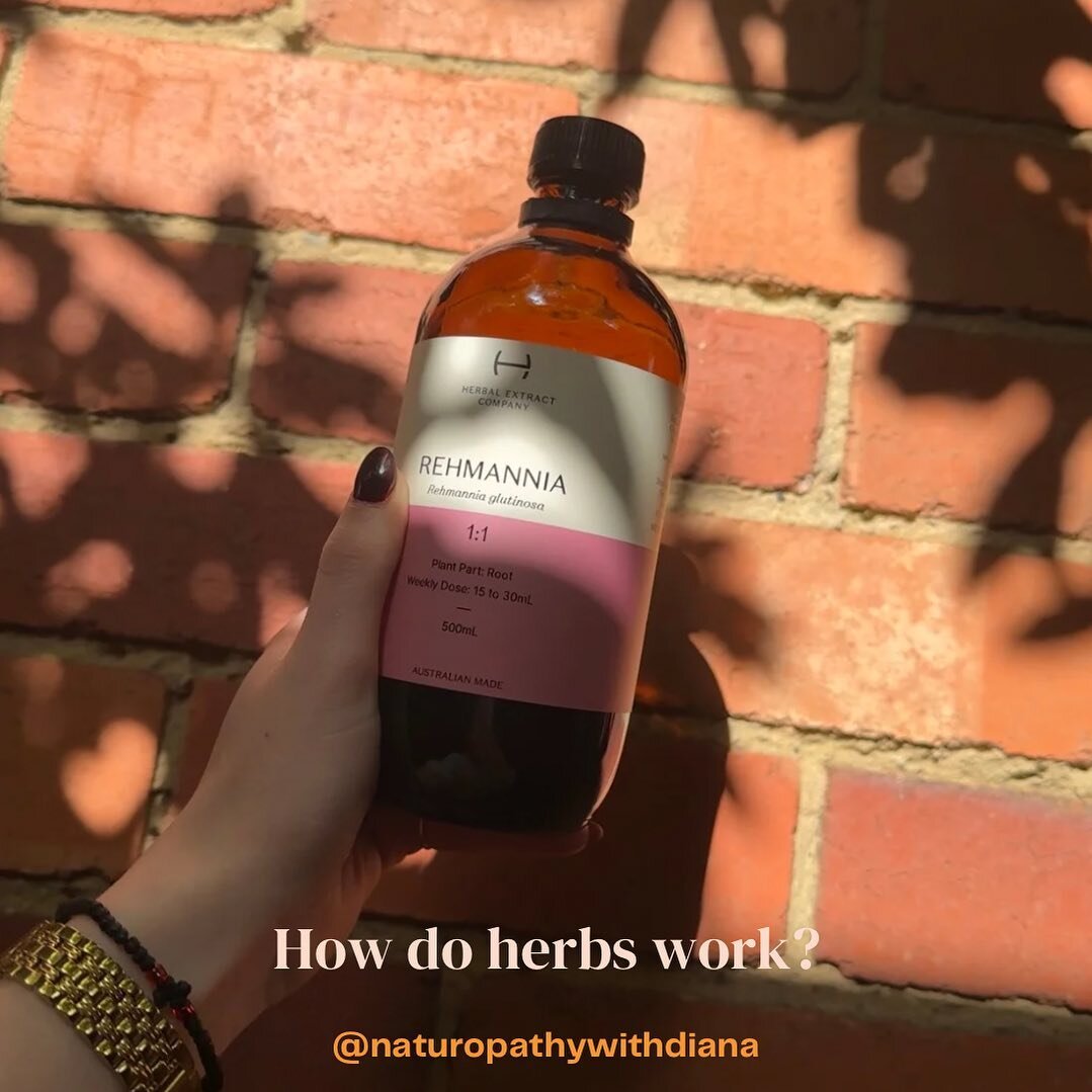 So often, in follow up consultations, my clients are shocked at how well their liquid herbs have worked. Paired with their own hard work and changes - herbs are the cherry on top. 

No two people are the same, and all herbal prescriptions are tailore