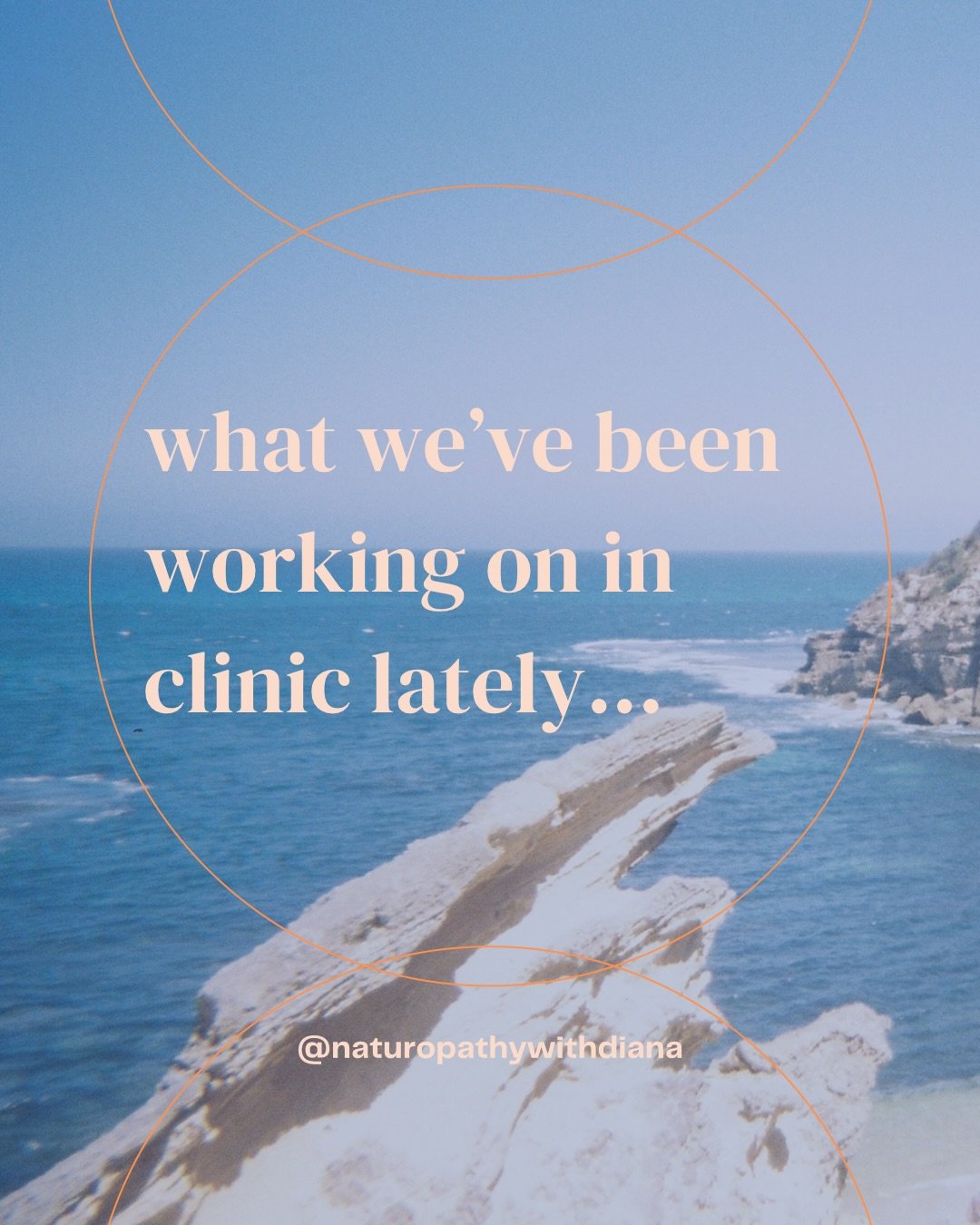 The past month in clinic has looked a bit like this.
 
Sometimes it&rsquo;s about peeling back the layers, sometimes other issues become clearer once they have the space to present themselves.
 
No one body system acts alone, there is a relationship 