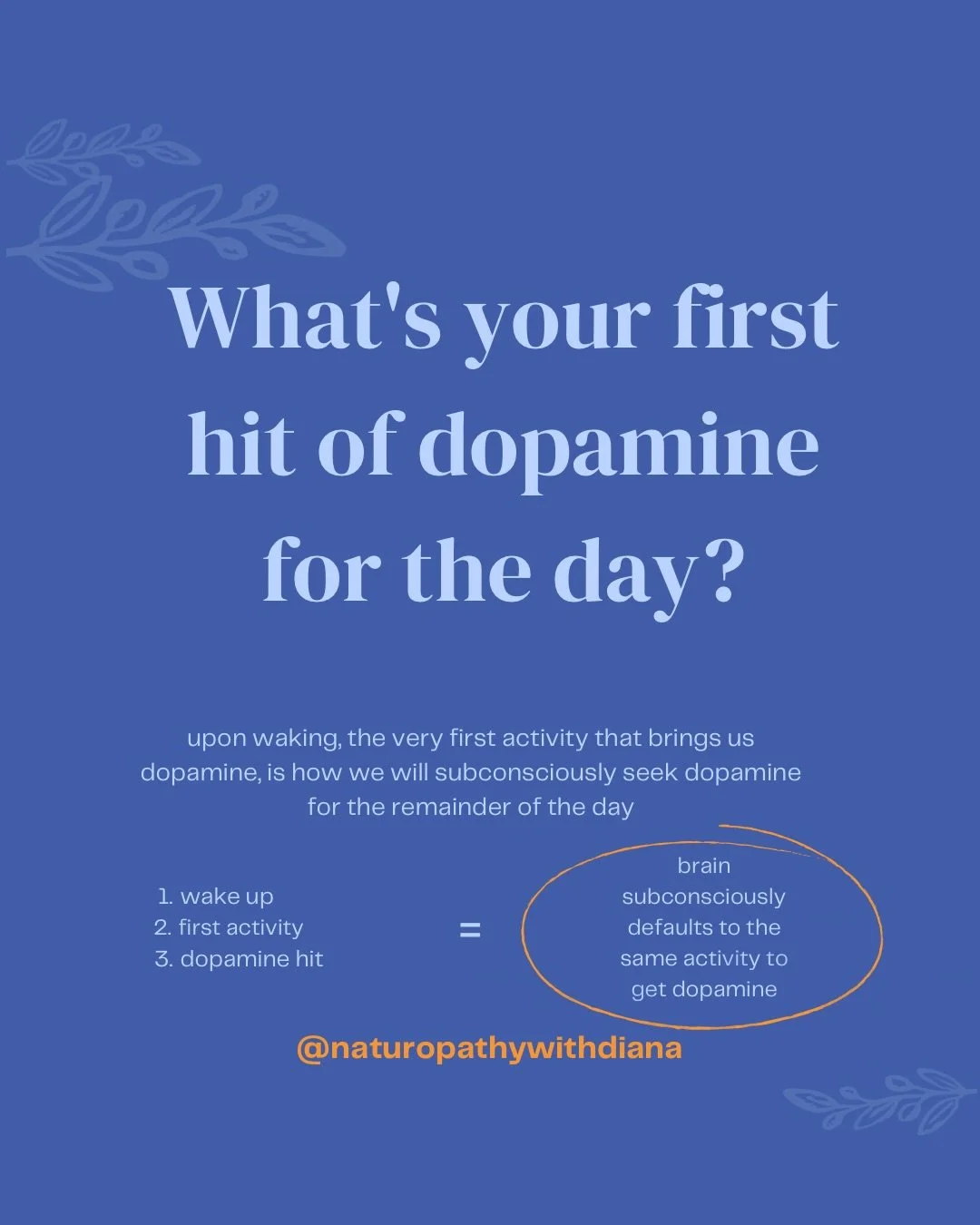 Routine, phones, analog hobbies, hormones, circadian rhythm. I feel like these are some buzz words we&rsquo;re hearing and speaking about frequently. 

It&rsquo;s not new information that phone use first thing in the morning doesn&rsquo;t really set 