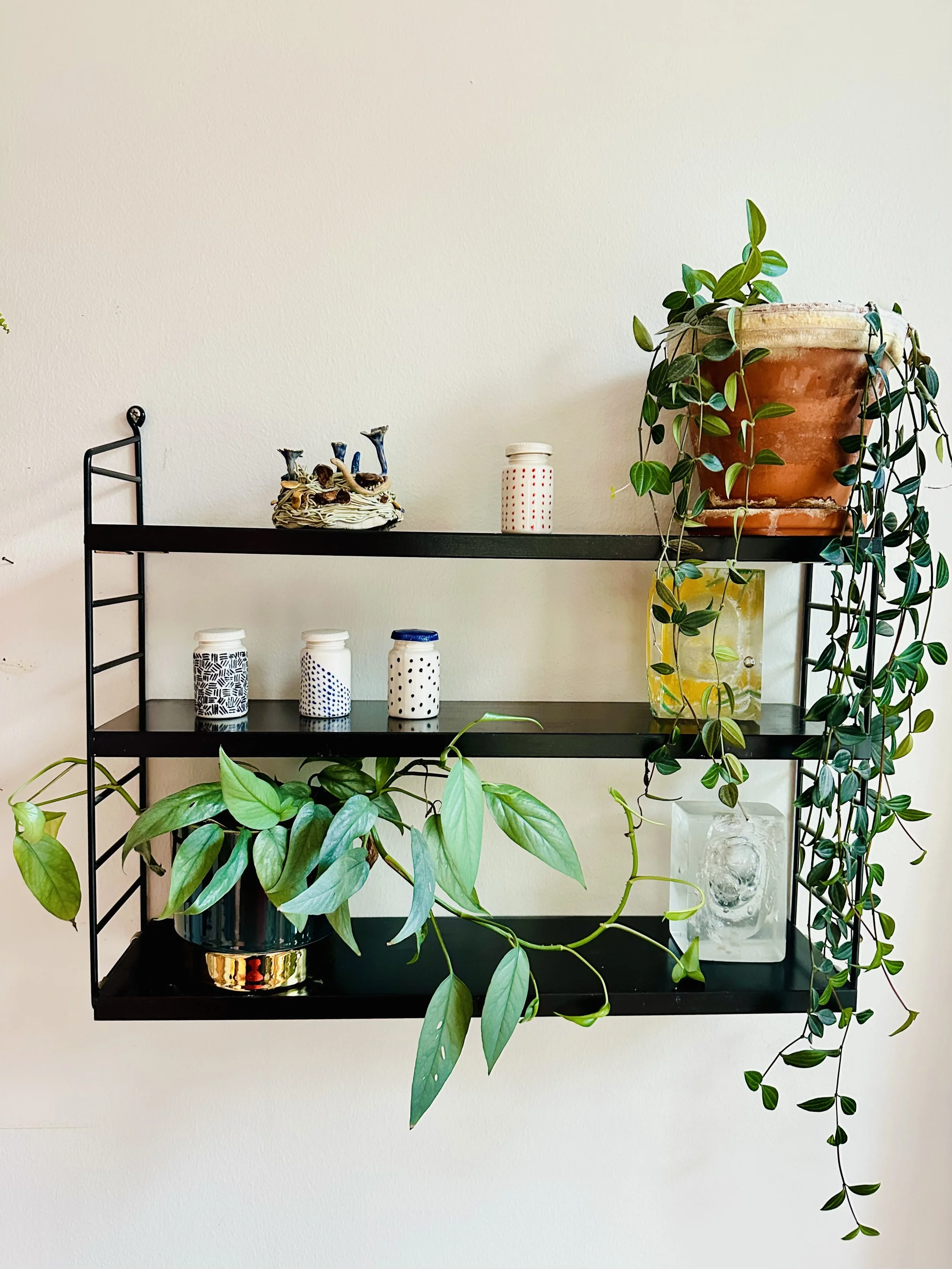 kummallisuuksien saari 3.jpg