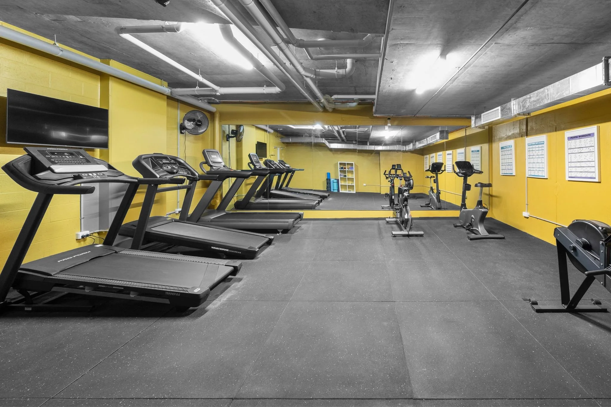 WhatsApp Image 2025-05-01 at 16.29.21.jpeg