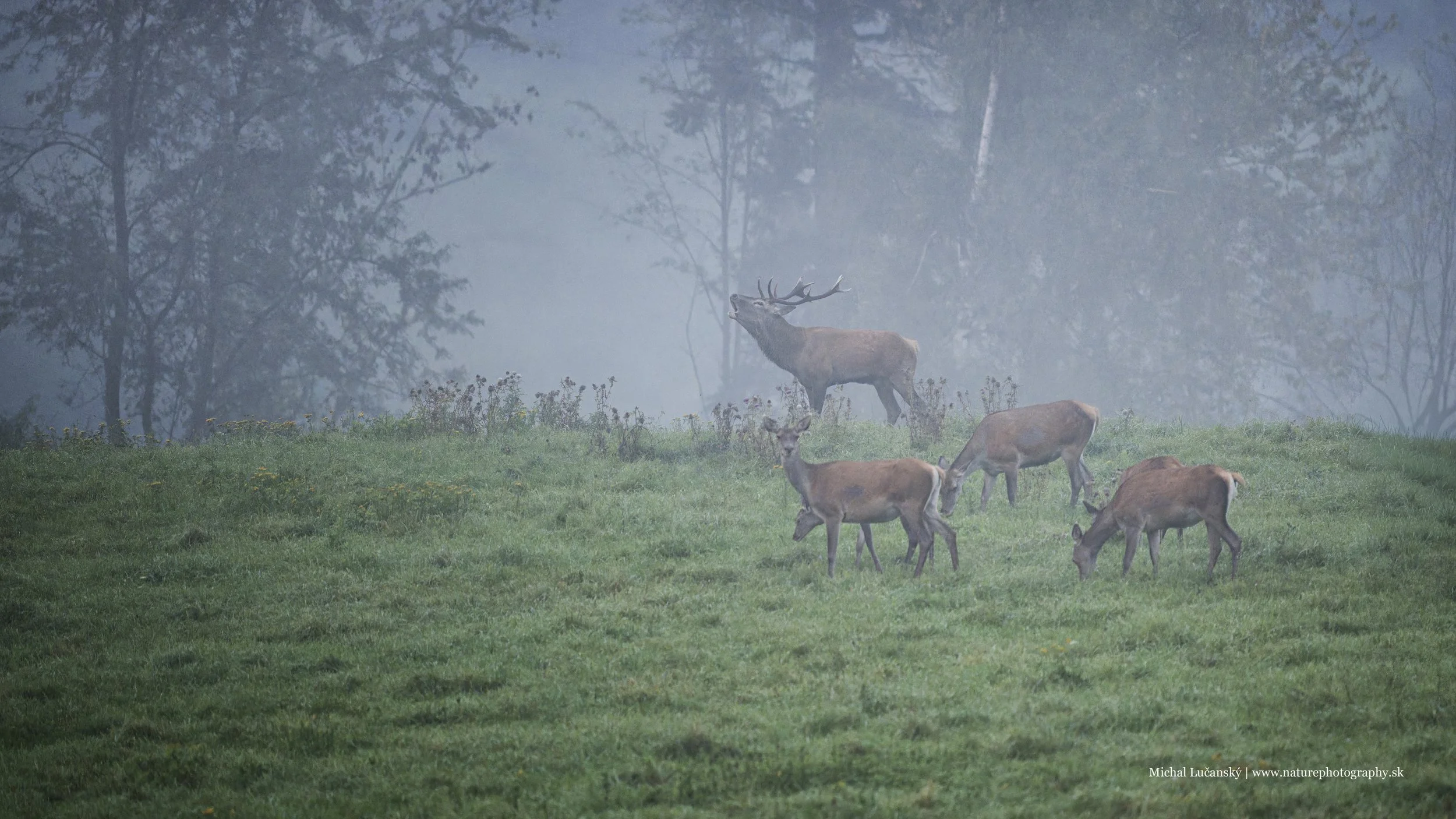 20250927-_DSC5270 copy_p.jpg