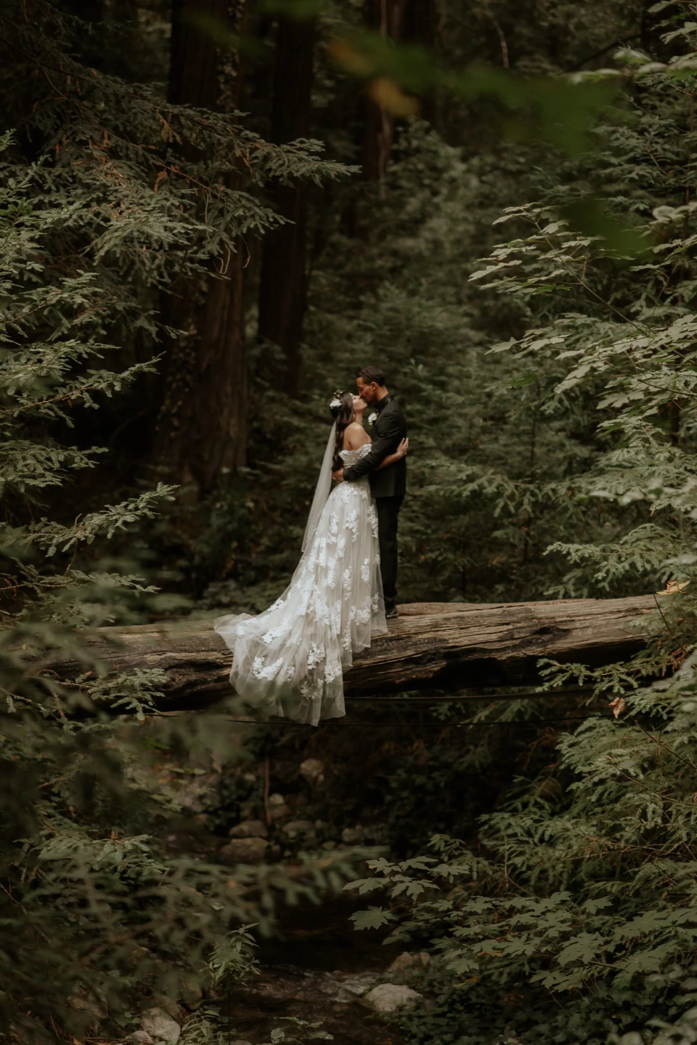 A bride and groom stand on a fallen tree trunk in a dense forest, sharing a kiss during their wedding photo shoot.