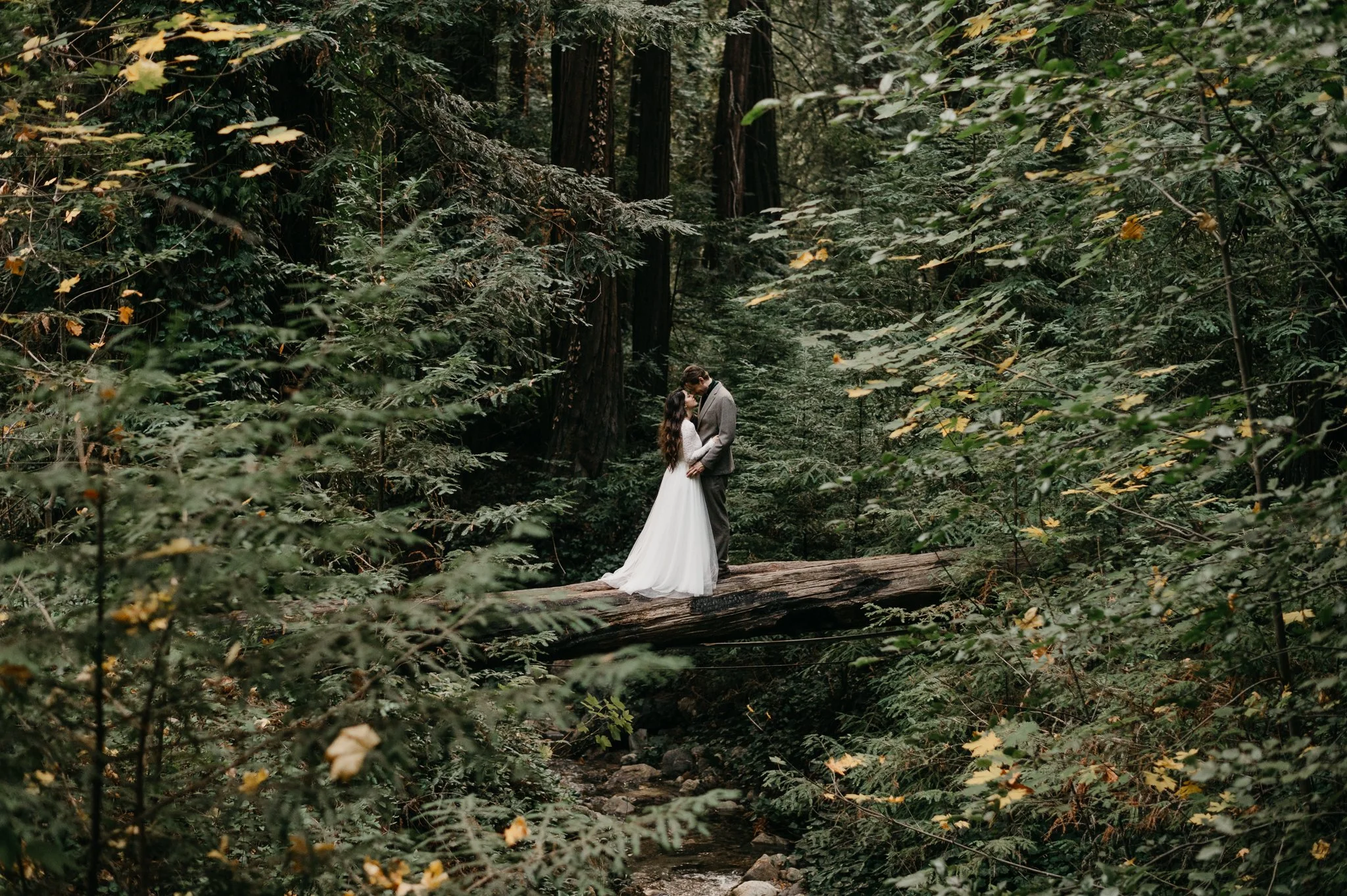 A bride and groom in wedding attire sharing a kiss on a wooden bridge in a dense forest.