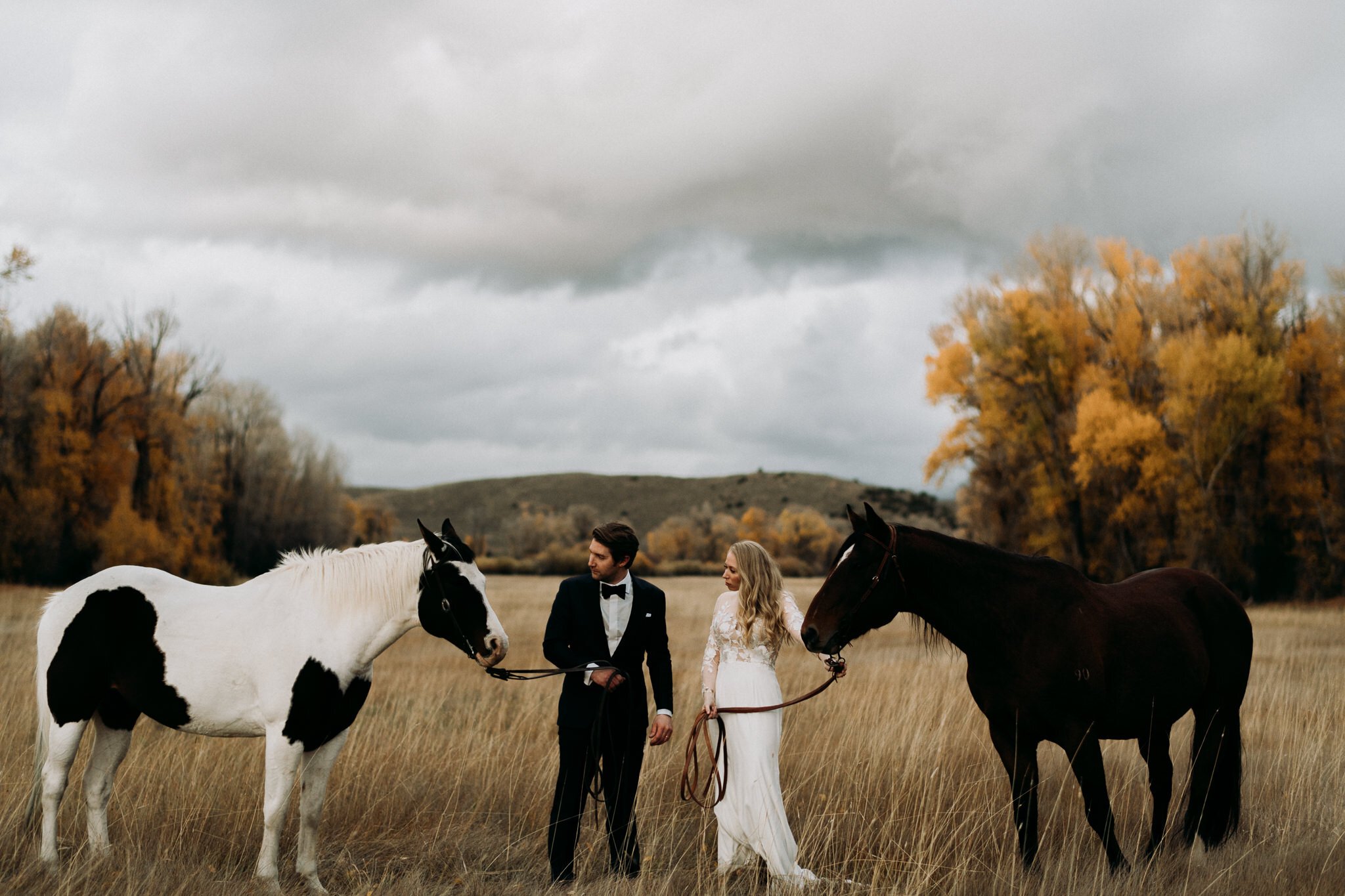 Bride and groom in wedding attire with two horses in grassy field, autumn trees of yellow and orange with big grey skies.