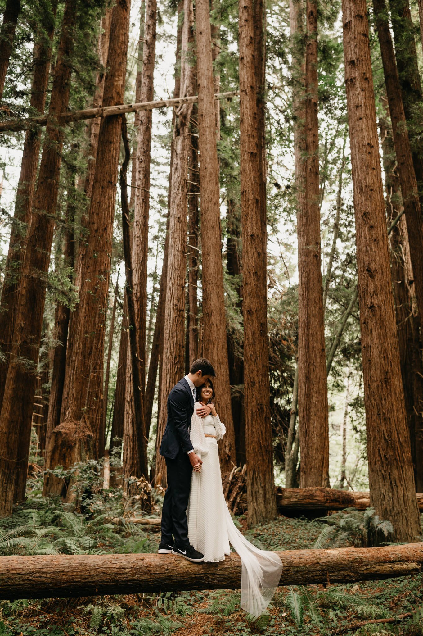newly married couple in wedding attire standing on fallen redwood tree embracing. Tall redwood trees and ferns in background. 