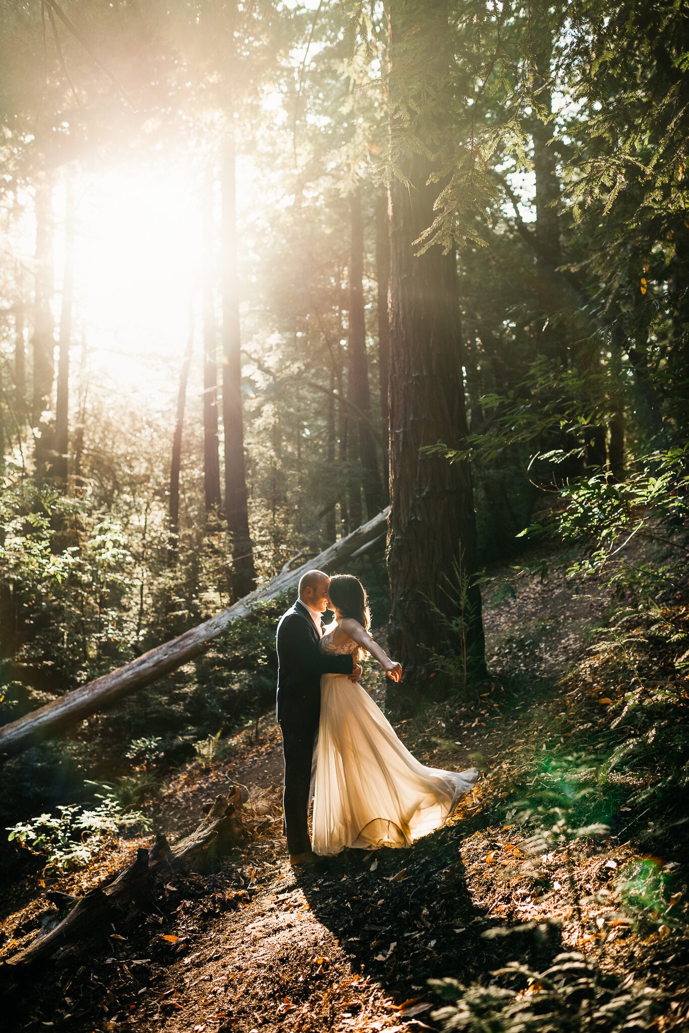 Newly eloped couple kissing in forest with sun peeking through the redwoods in Big Sur, California