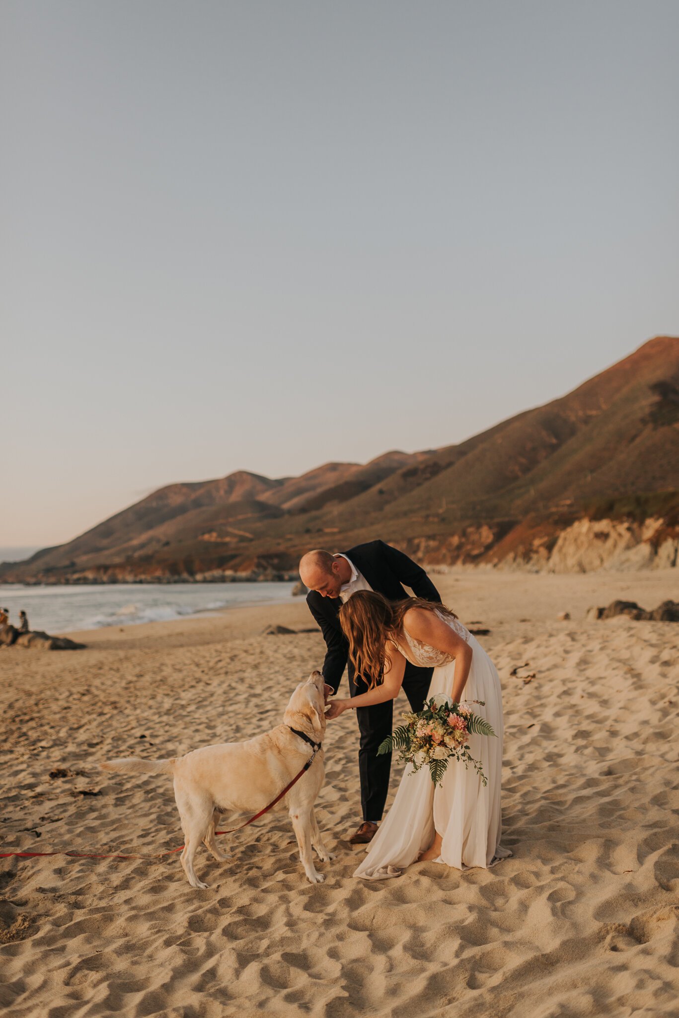 Ventana Big Sur Elopement couple wearing wedding attire petting dog on beach