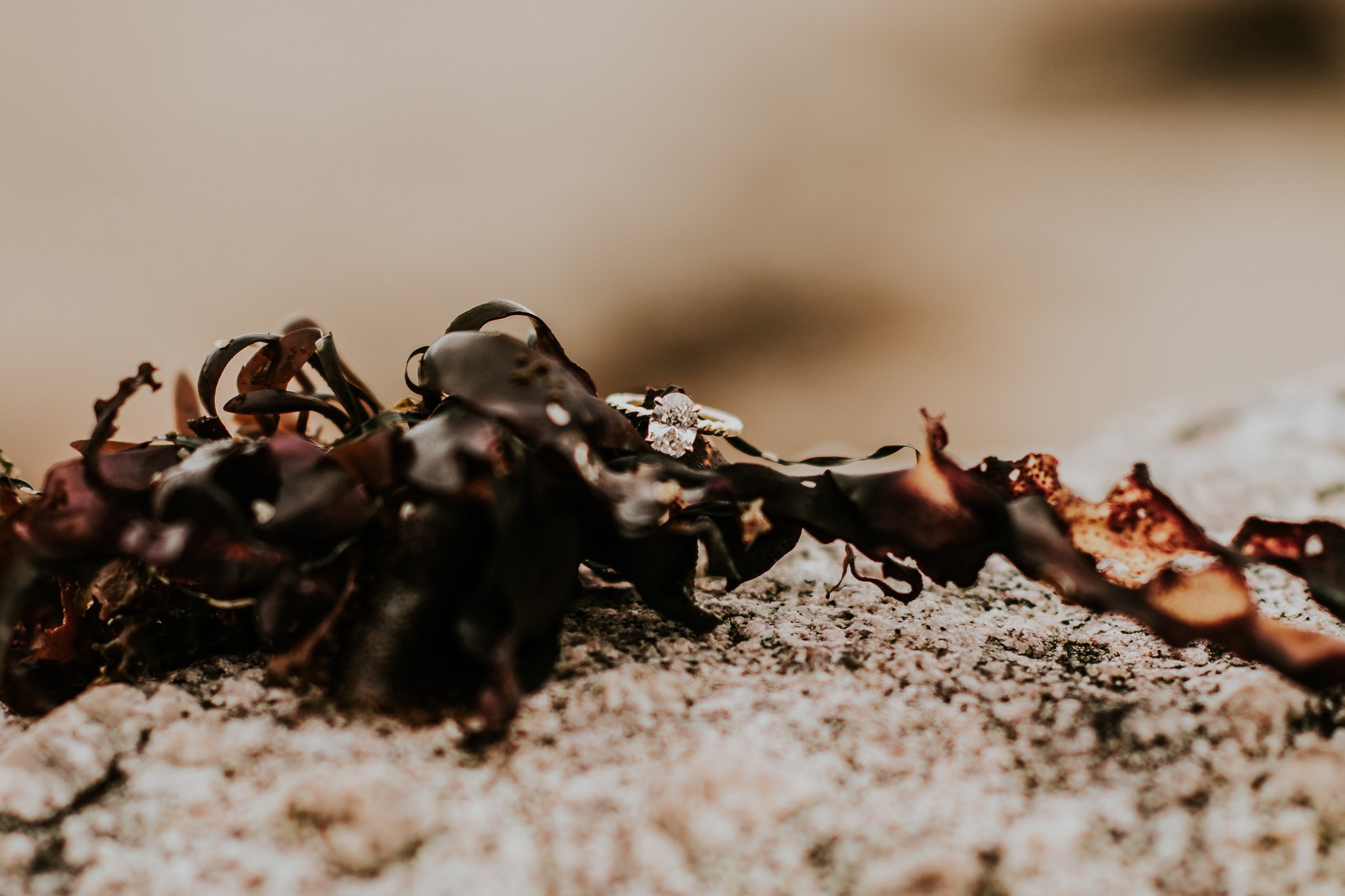 Big Sur proposal_-8.jpg