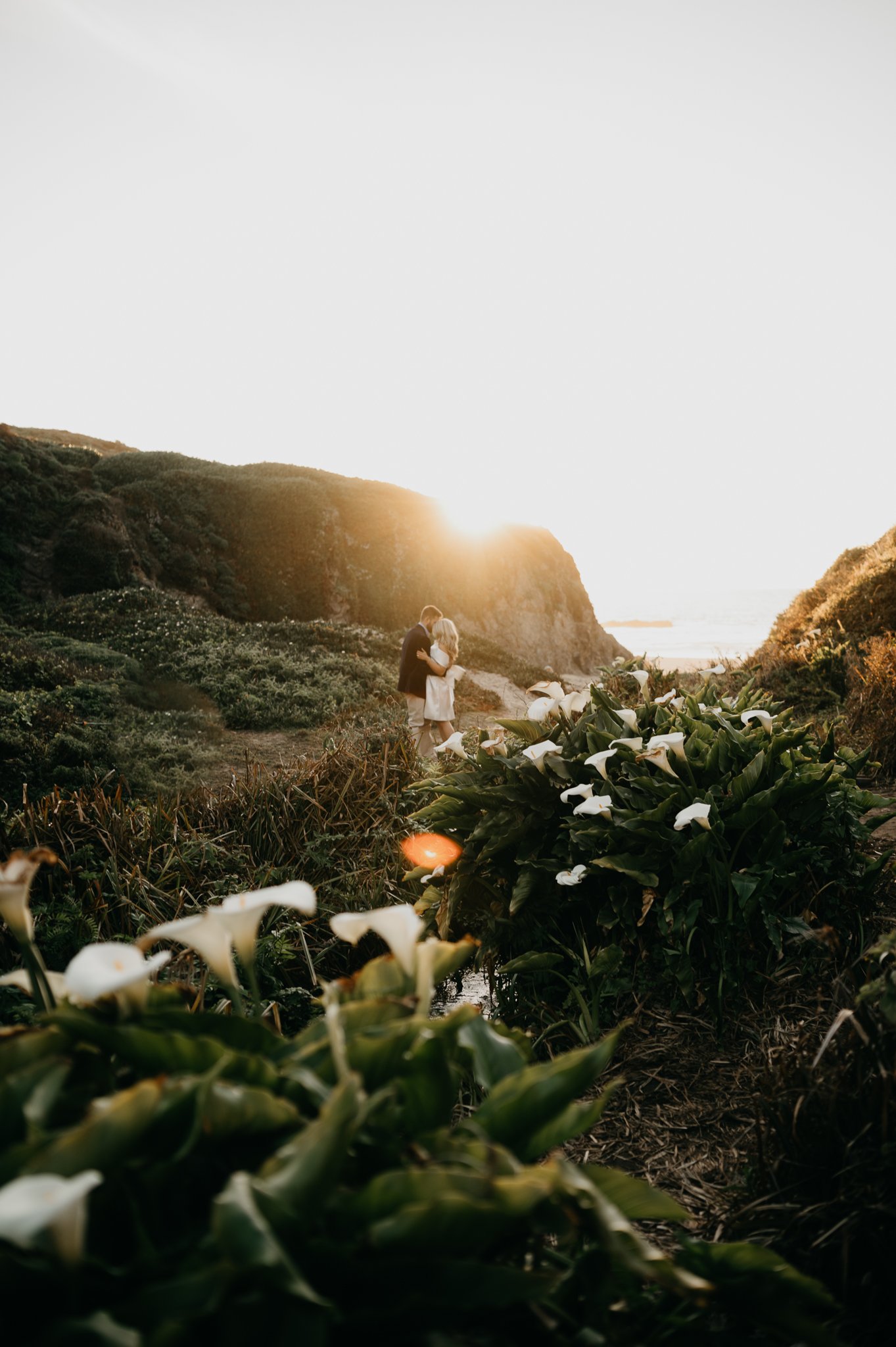 Big-Sur-sunset-lily-grove-engagement-photography