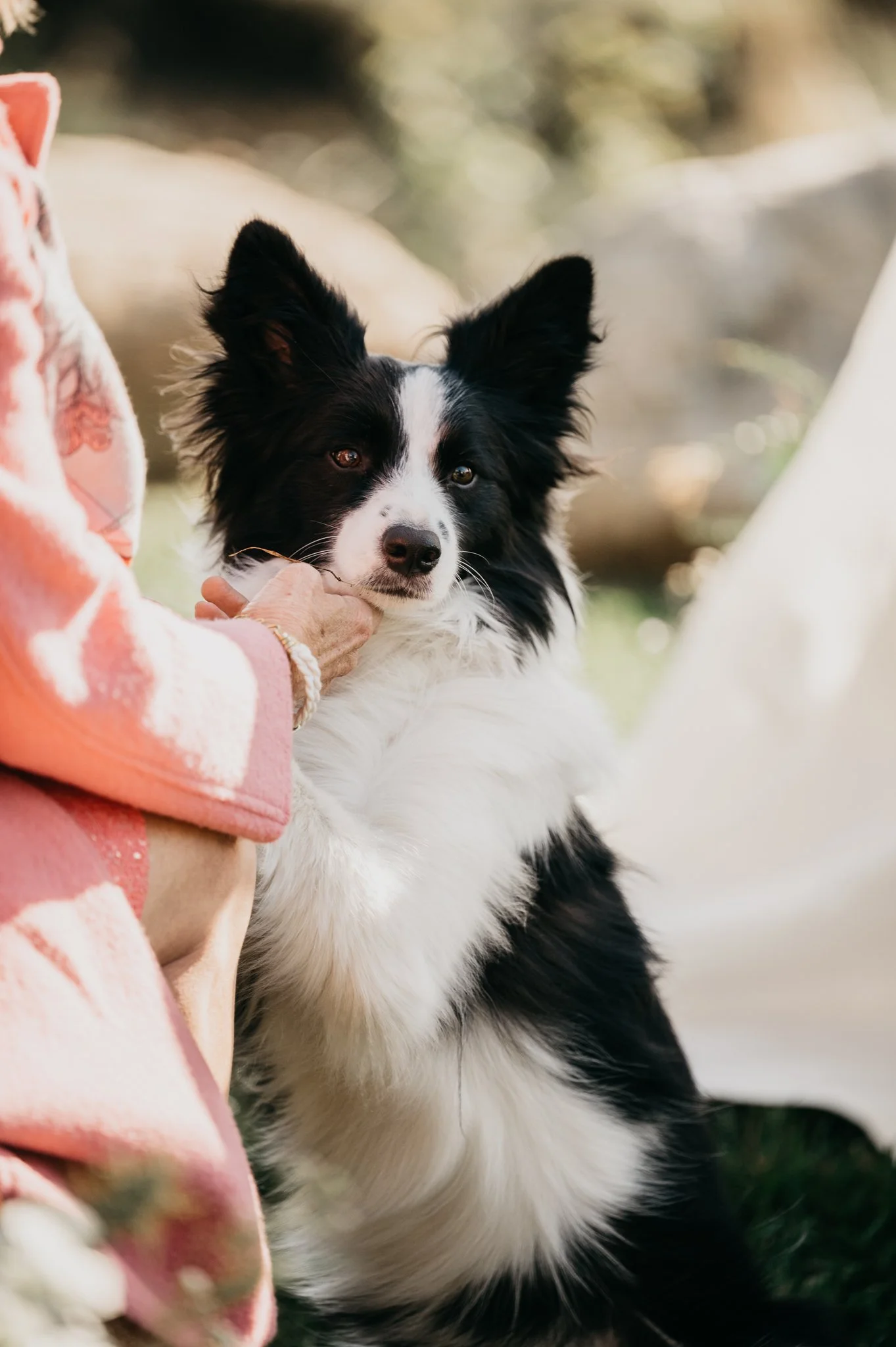 Big-Sur-California-oceanside-wedding-ceremony-special-guest