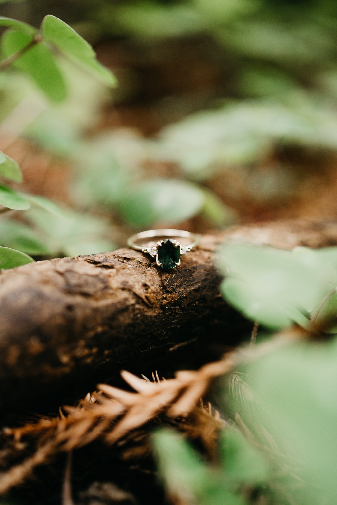 Engagement-ring-in-forest-Big-Sur