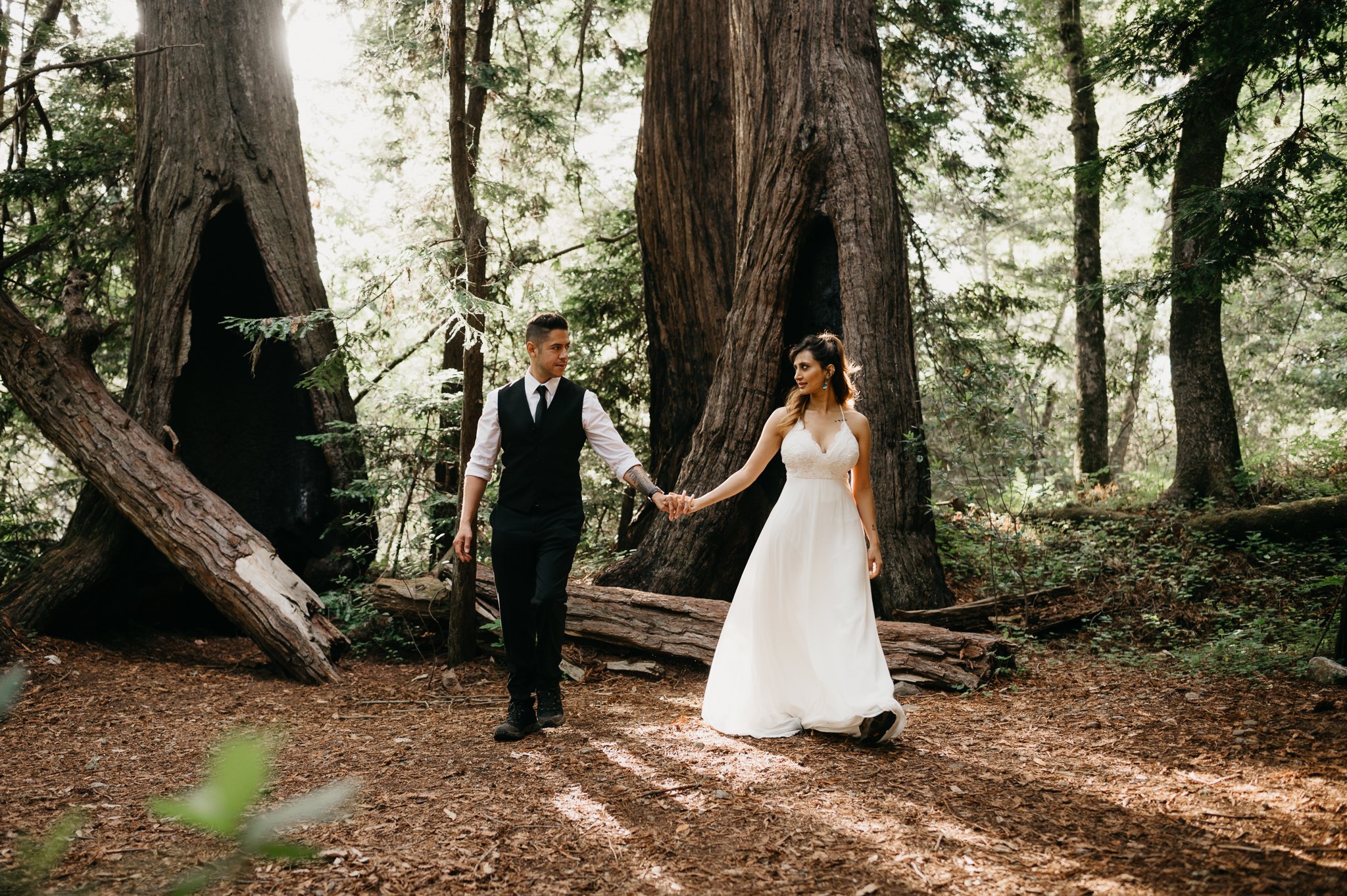 Elopement couple holding hands beneath redwood trees in Big Sur California