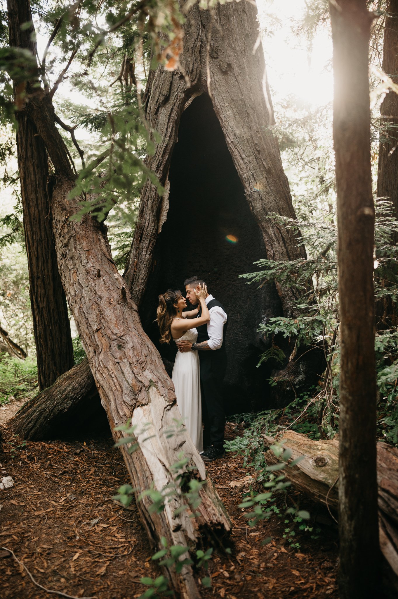 adventurous couple posing by large redwood in Big-Sur Forest Photo session
