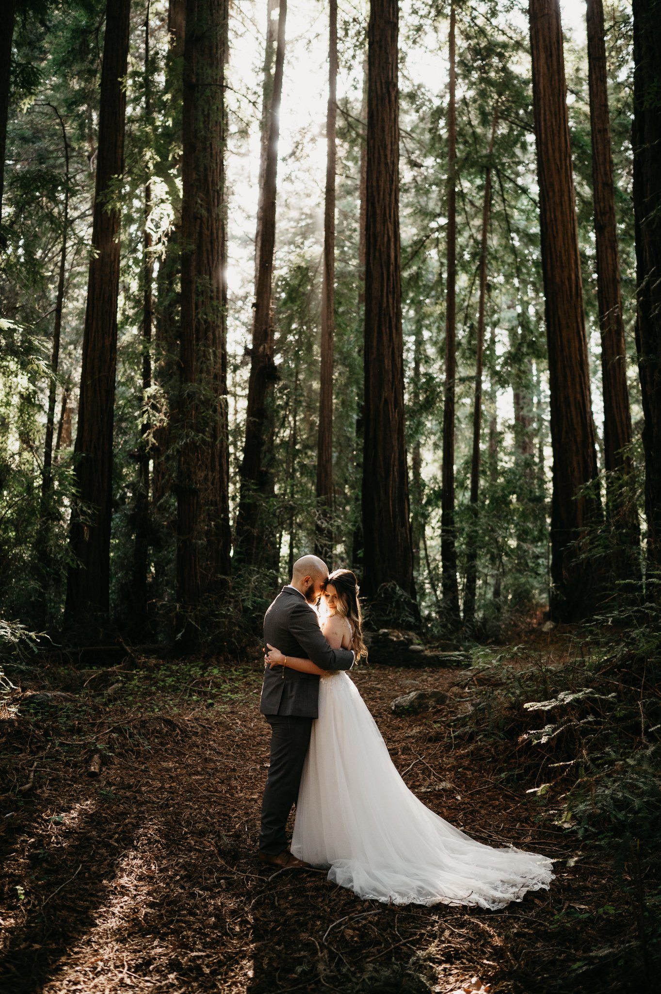  bride and groom embracing under tall redwood tress after elopement ceremony in Big Sur California
