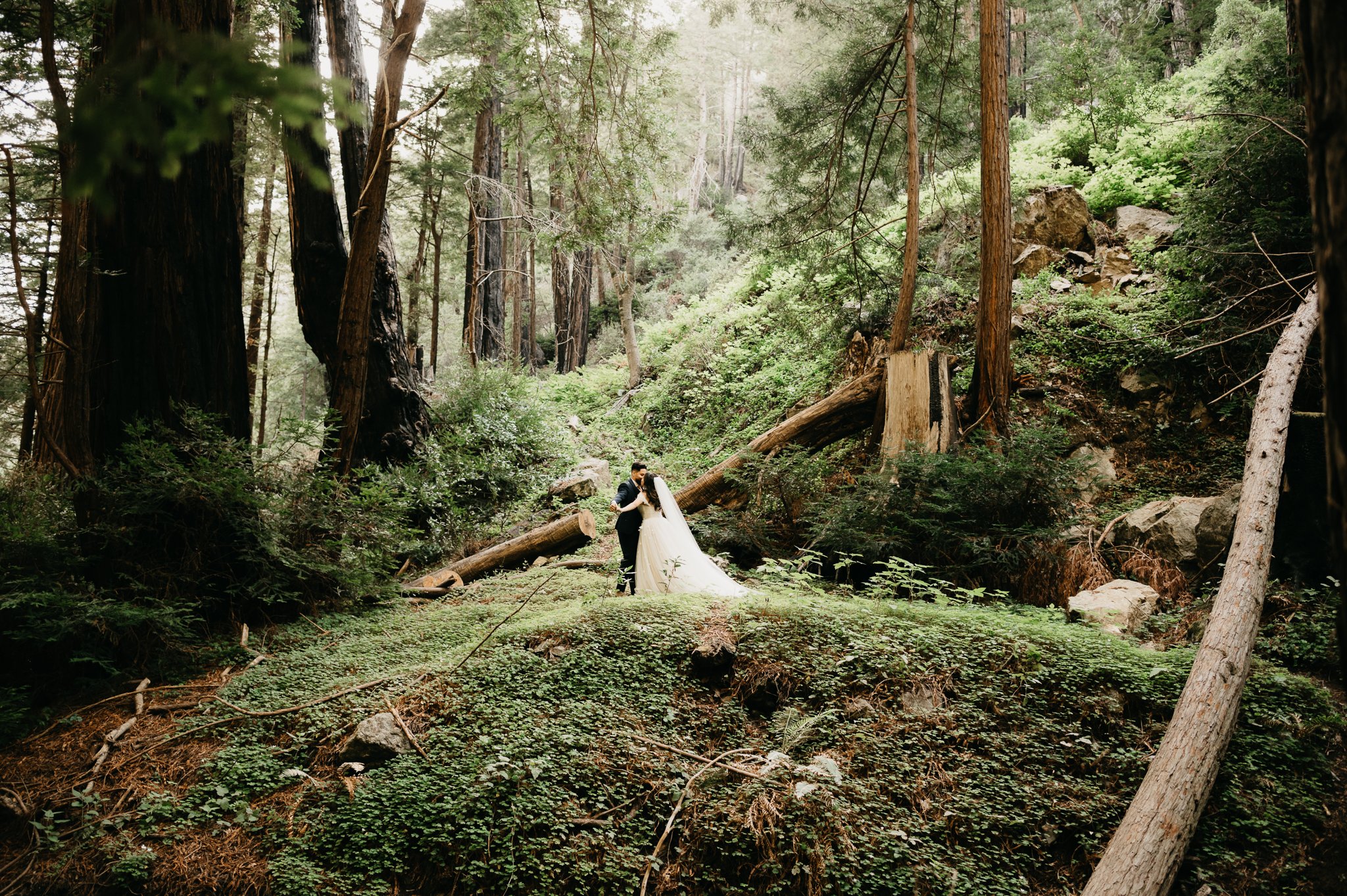 bride and groom in wedding dress and suit in Big Sur Forest