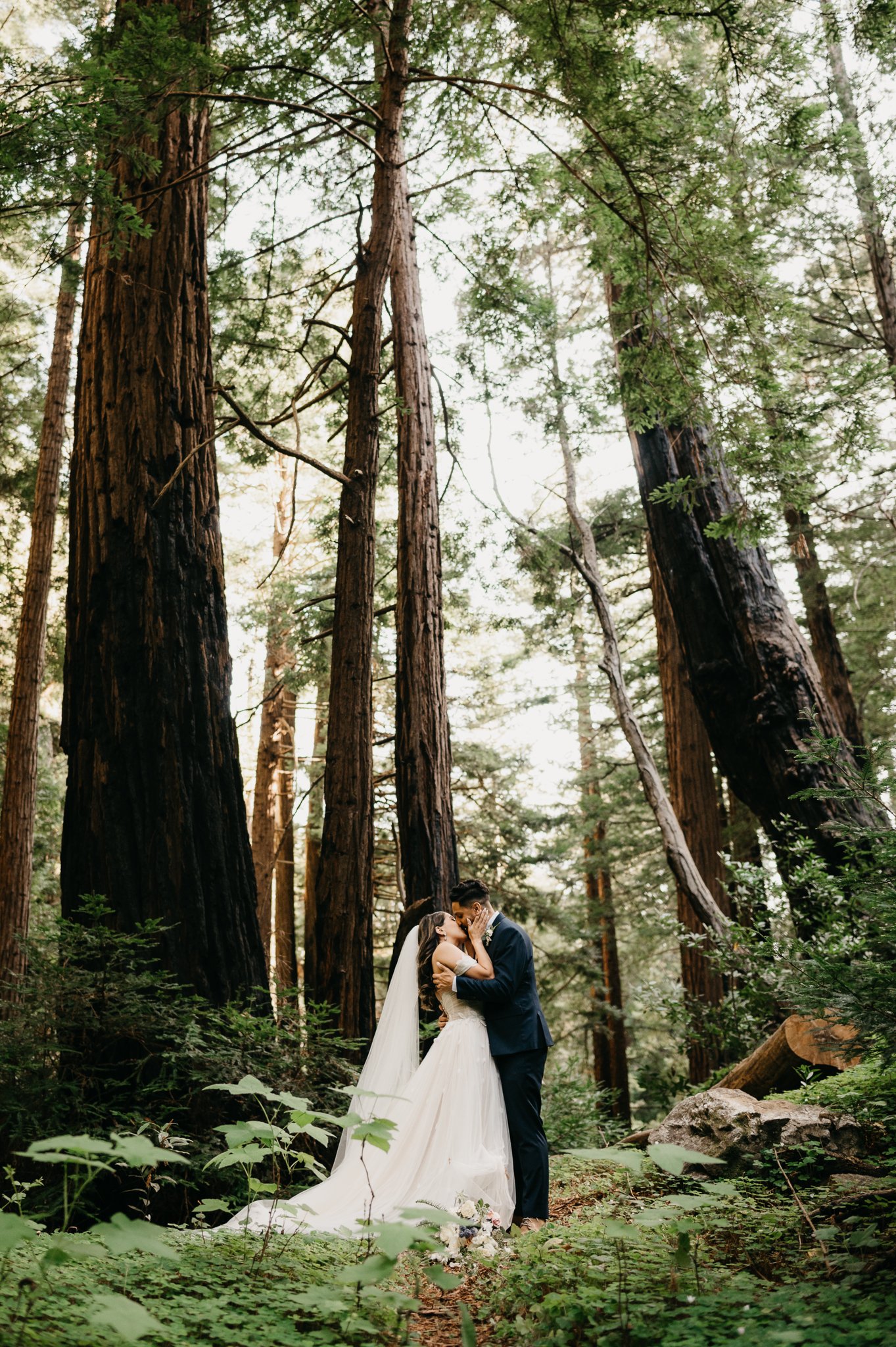 bride and groom in wedding dress and suit in Big Sur Forest large redwoods in background