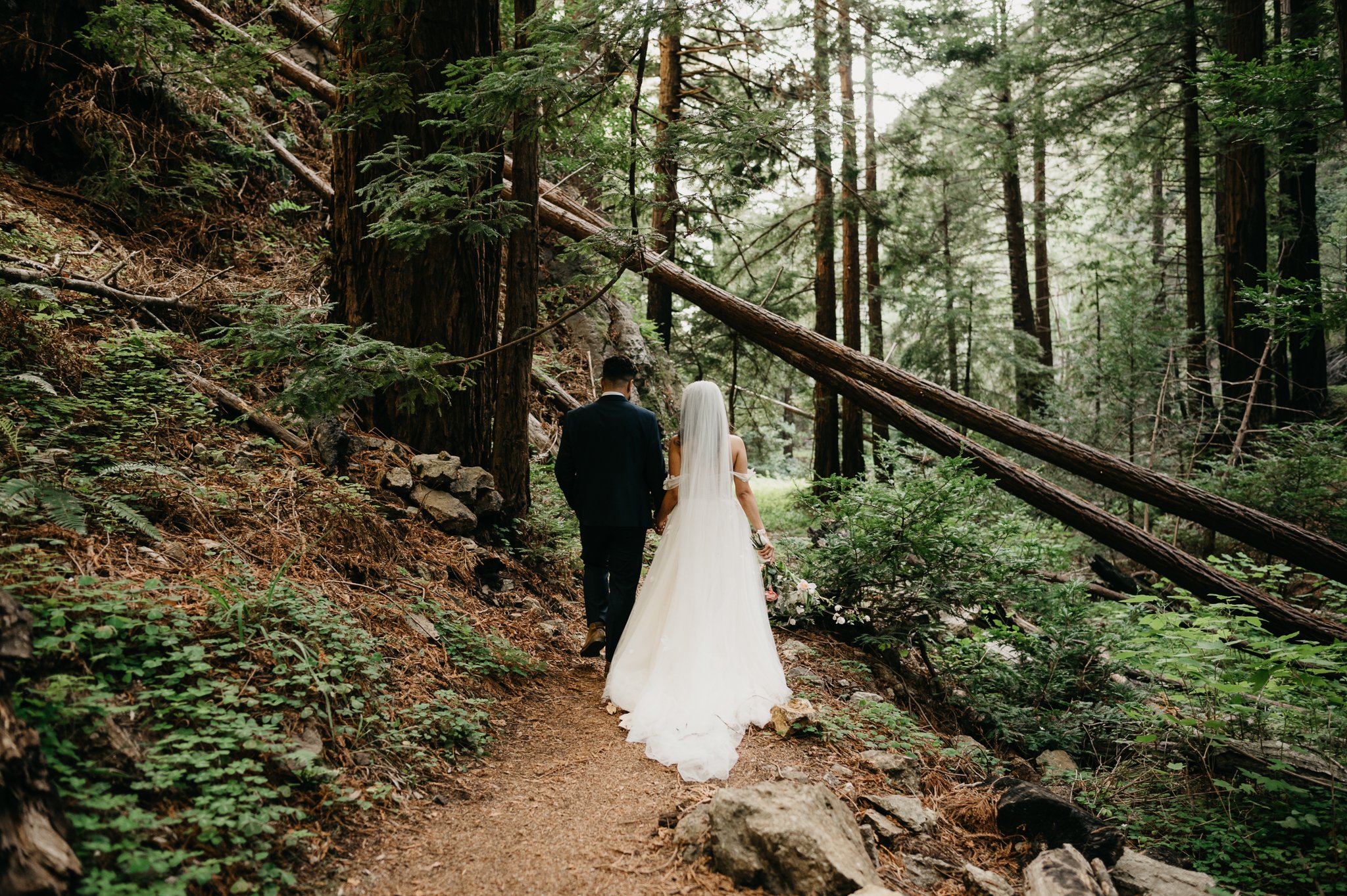 Bride and groom in wedding attire walking on a path in redwood forest Big Sur