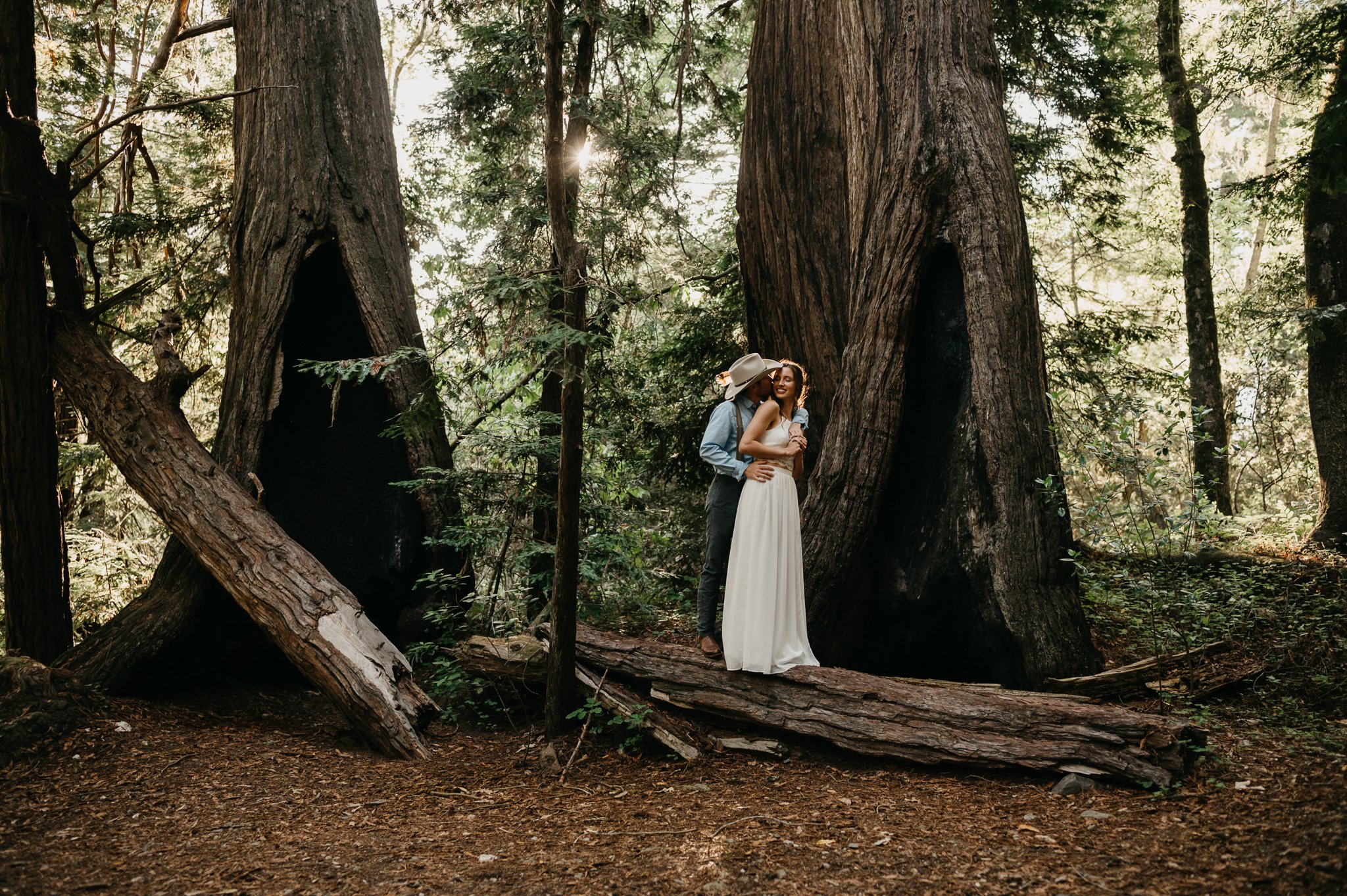 Big Sur Engagement couple in forest of Big Sur posing on large log with him standing behind her embracing her