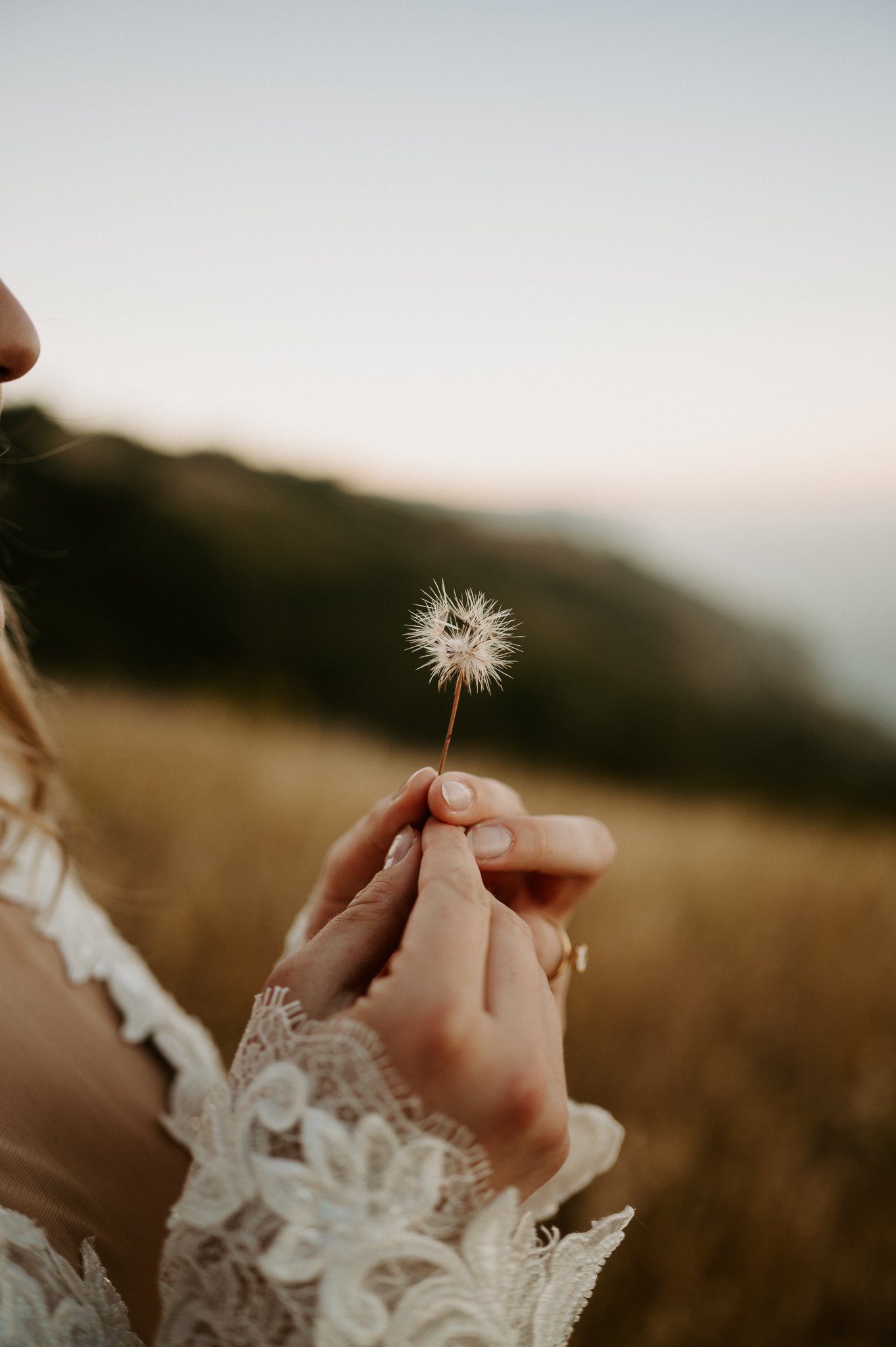 Big Sur brides hands as she is blowing on a dandelion