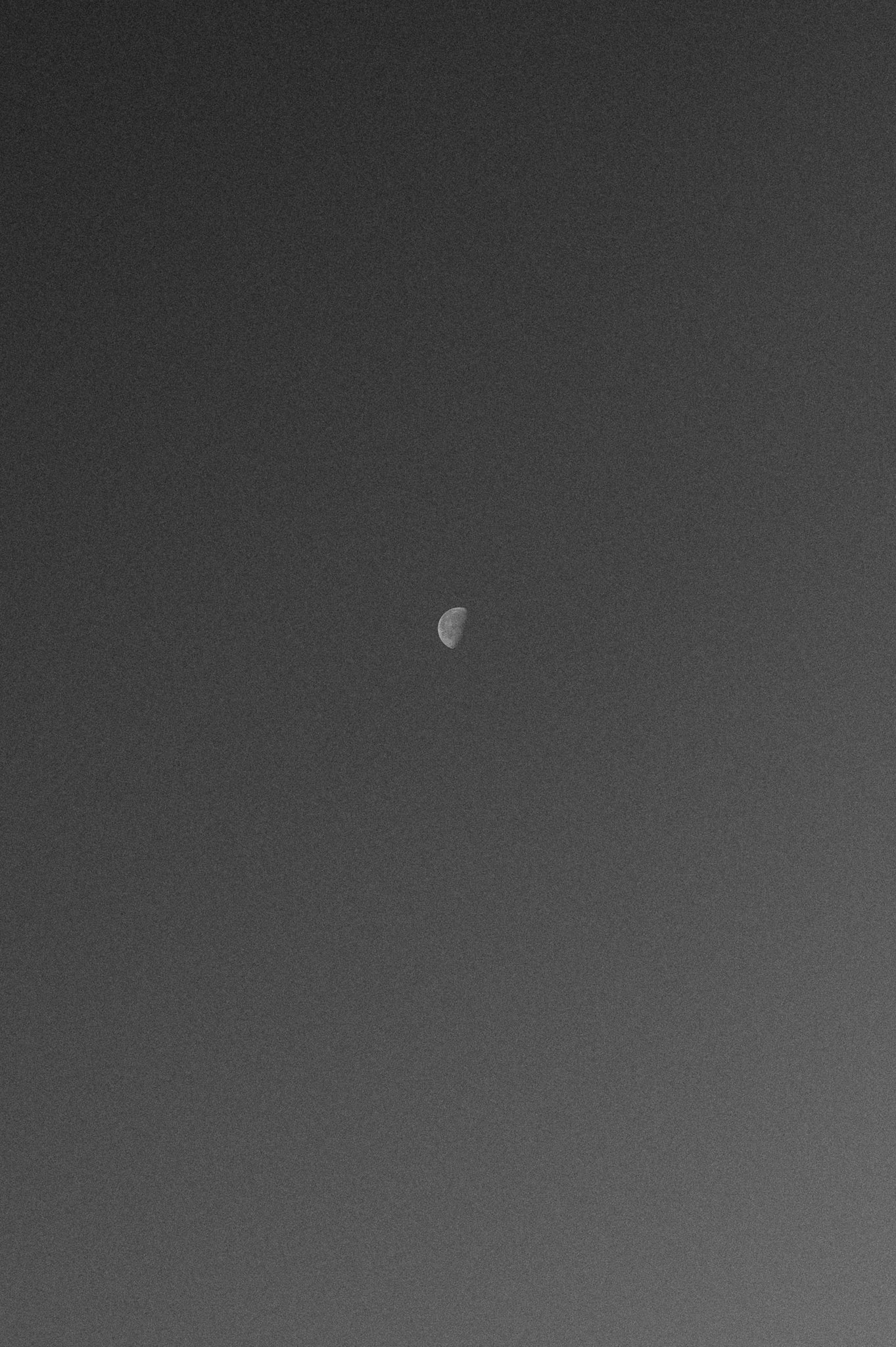 Grey sky with half moon