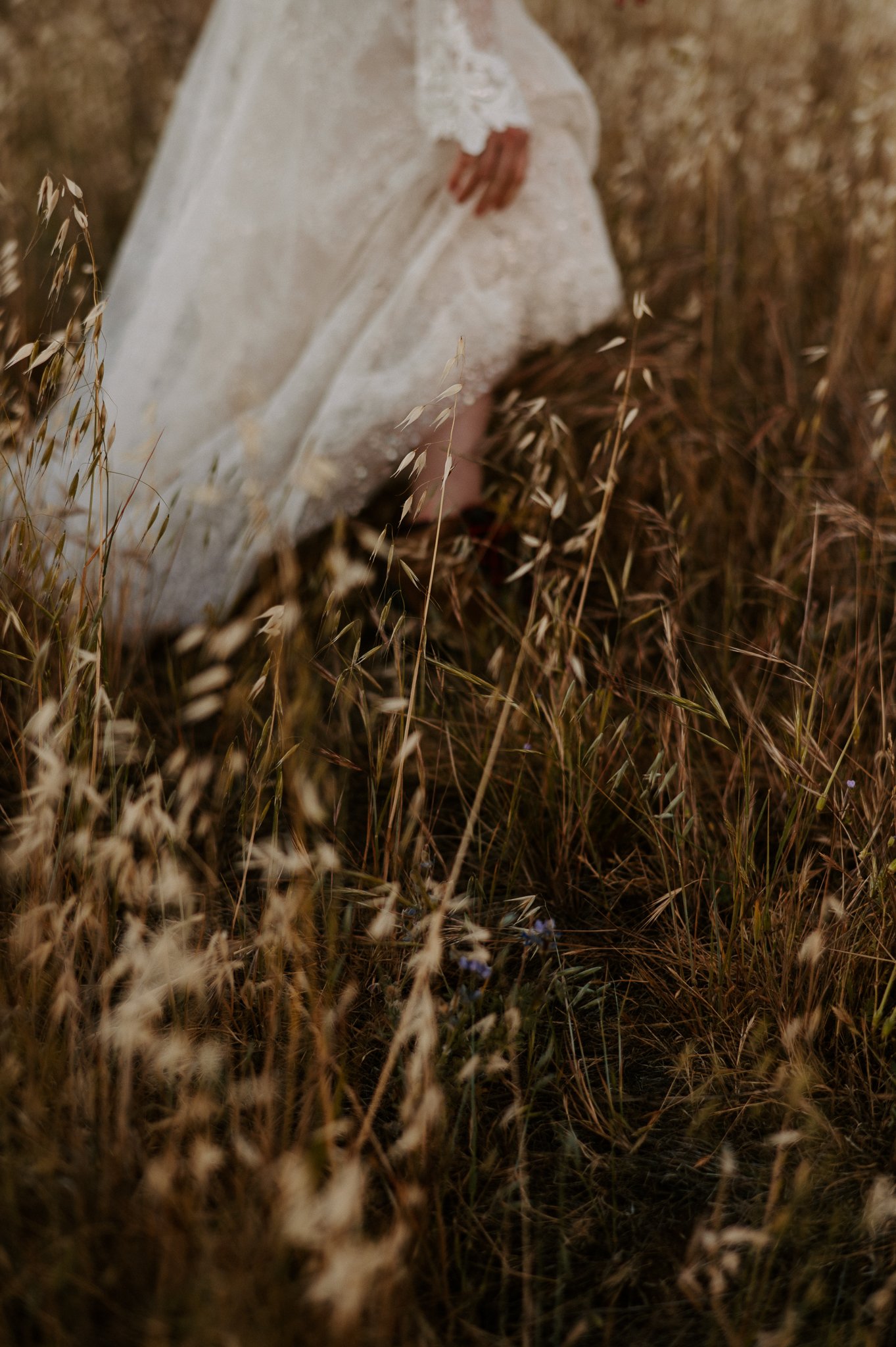 Bridal veil in tall brown grass of Big Sur