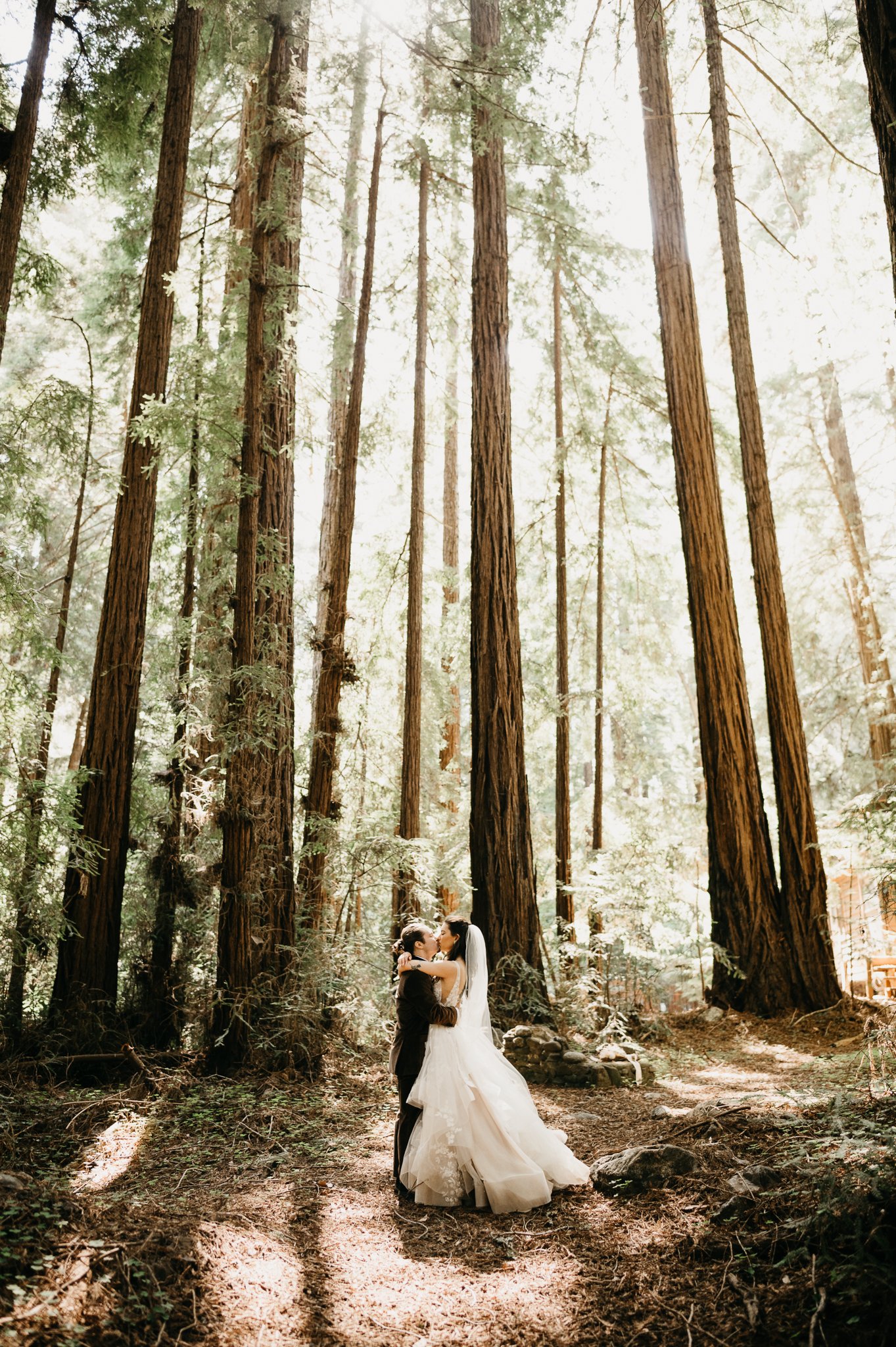 Forest Big Sur Bride and groom first look among the tall redwoods