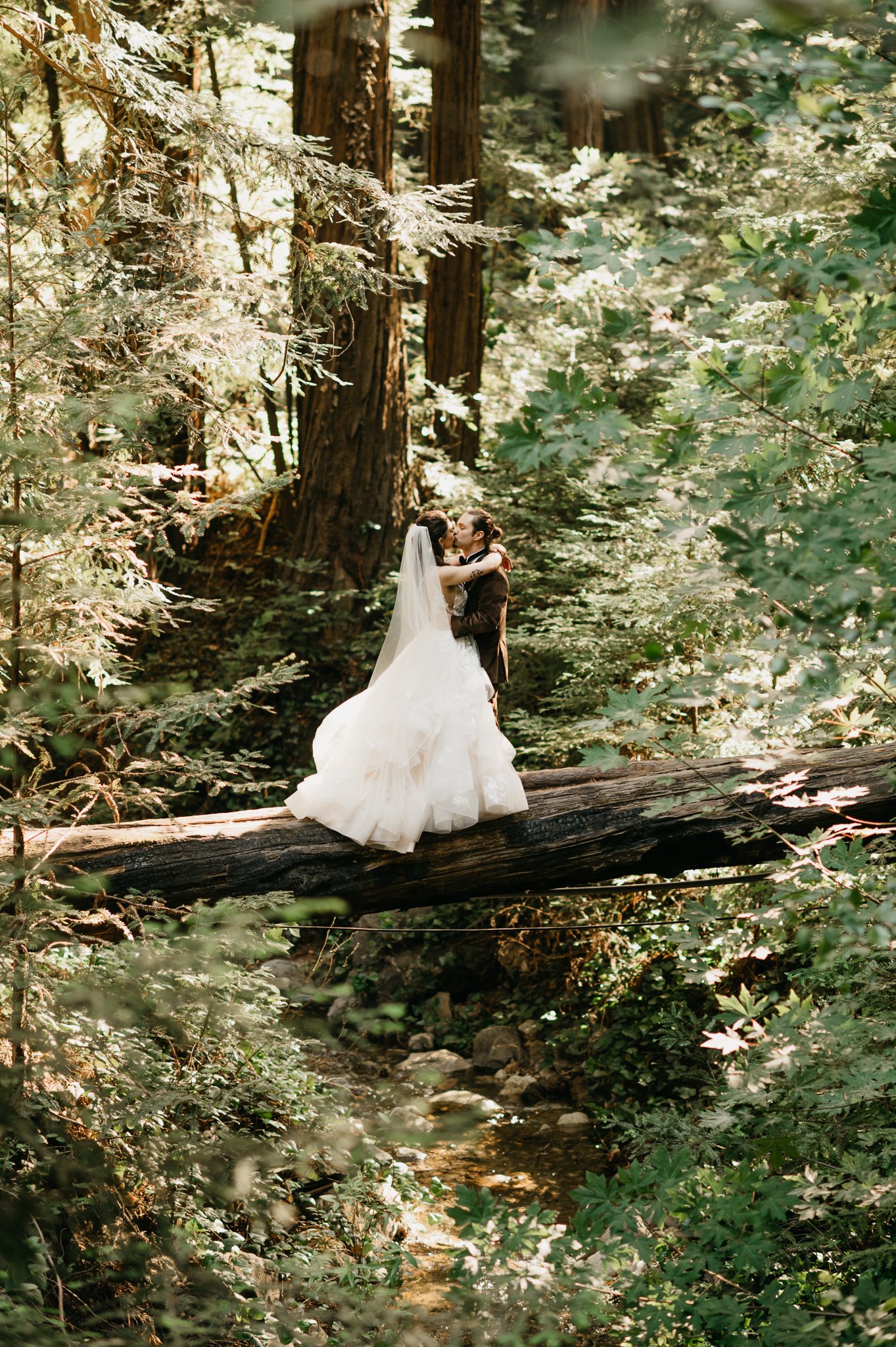 Big Sur Forest wedding bride and groom standing on old fallen tree sharing a kiss with sun peeking through the trees