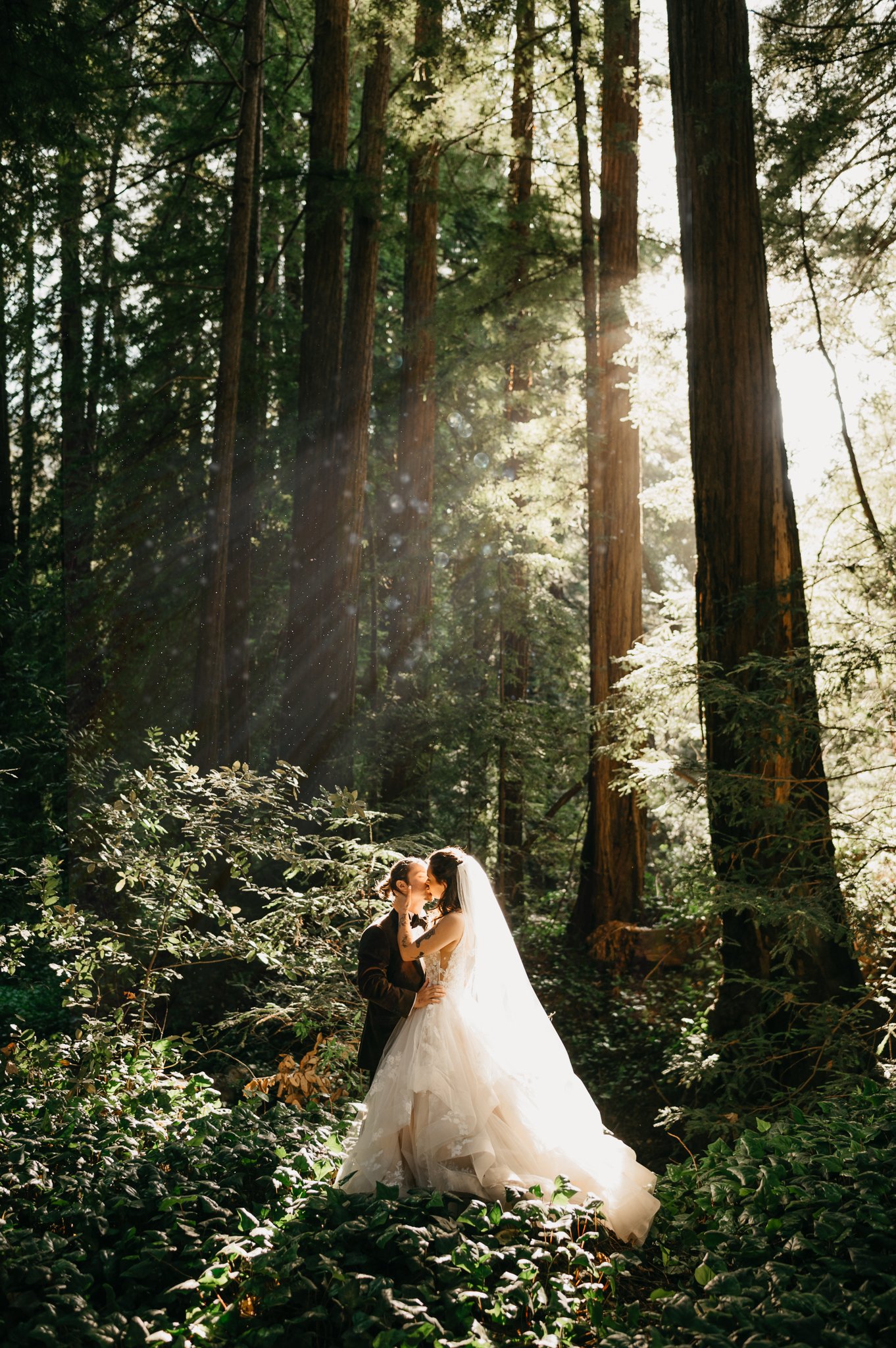 Big Sur Forest wedding bride and groom standing in forest tree sharing a kiss with sun peeking through the trees