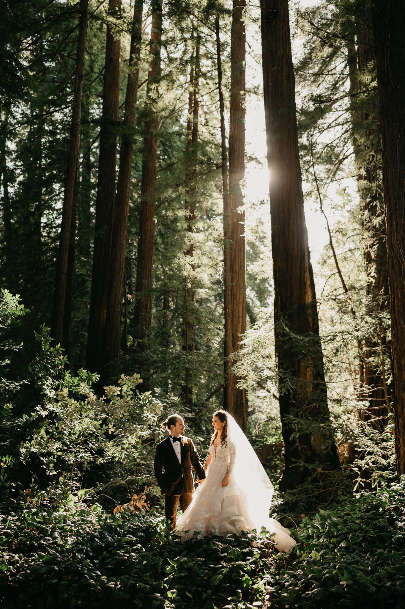 Big Sur Forest wedding bride and groom standing in forest with sun peeking through the trees