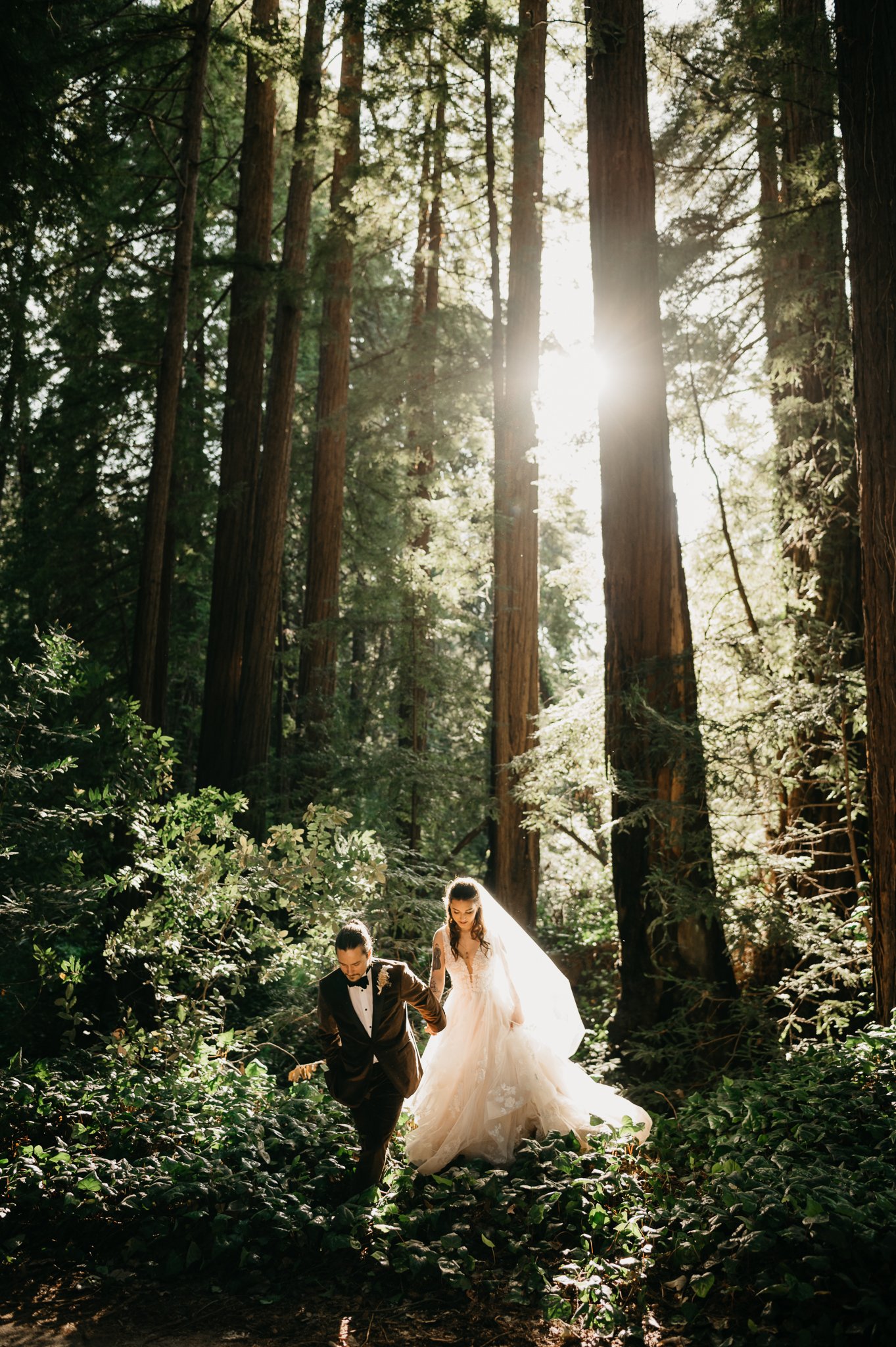 Big Sur Forest wedding bride and groom standing in forest with sun peeking through the trees