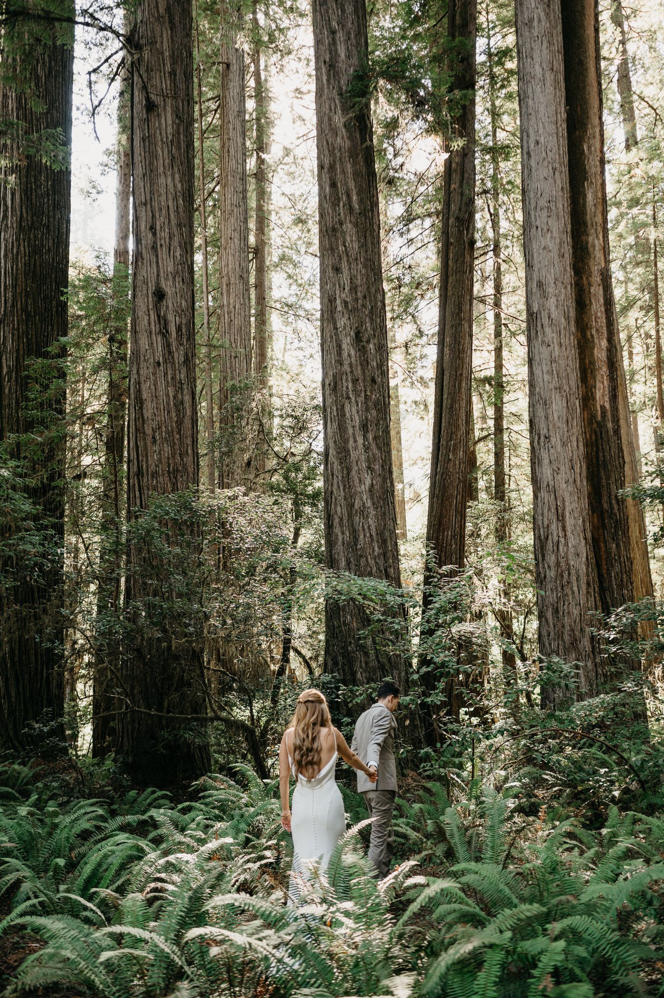 Bride and groom in wedding attire in Oregon Redwood forest waking hand and hand through forest 